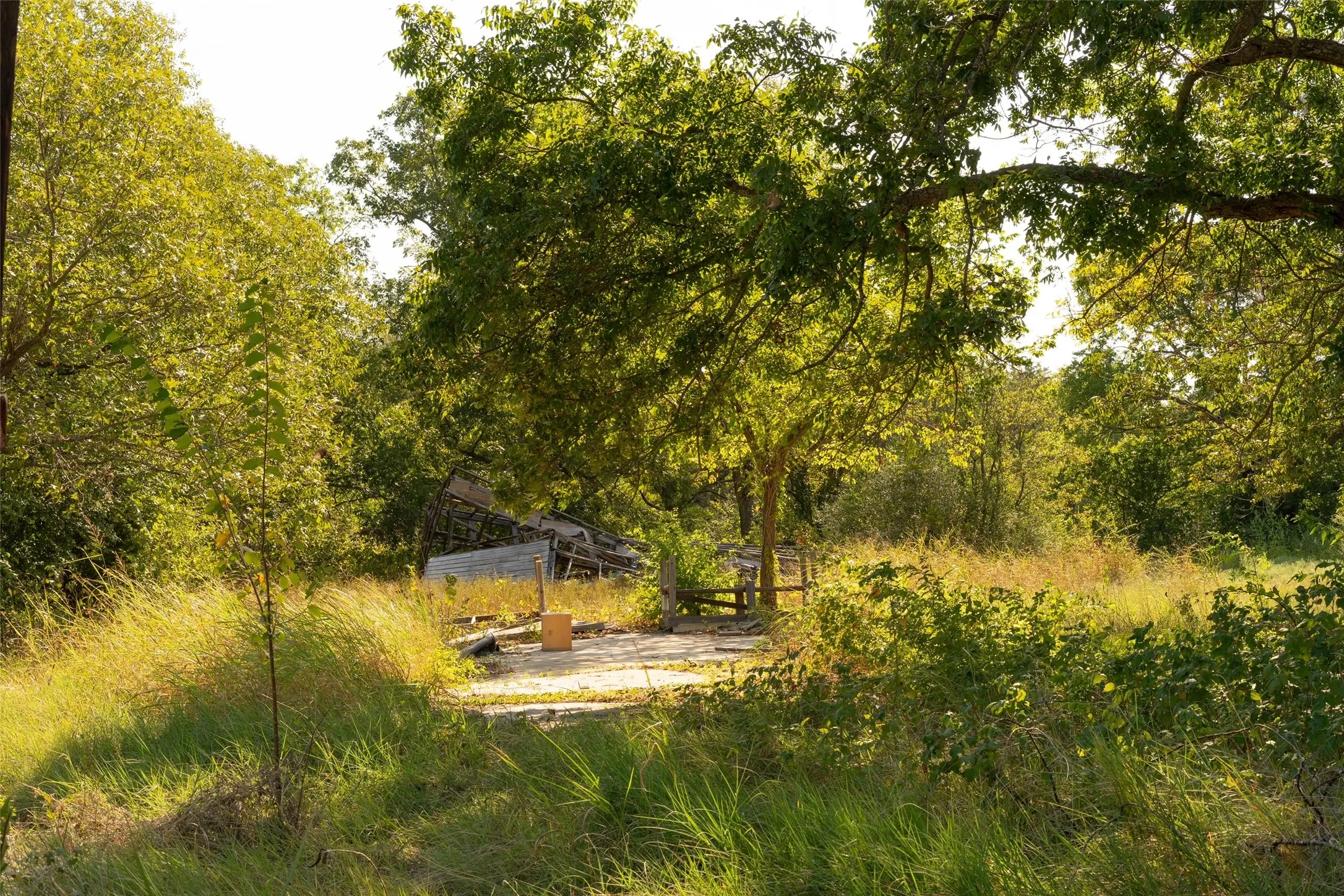 Unimproved Land For Sale in Grayson County , 5 Acres +- S Faye Lane, Whitesboro, Texas 76273, 0, 0, Garage spaces, 0 Sqft, built in 1950, mls#21391612, Real Estate Agent in Whitesboro, Homes For Sale in Grayson county, Homes For Sale in Whitesboro, Realtor in Whitesboro Texas, Real Estate Brokerage Independent Realty Texas, Luminita Cordes Realtor