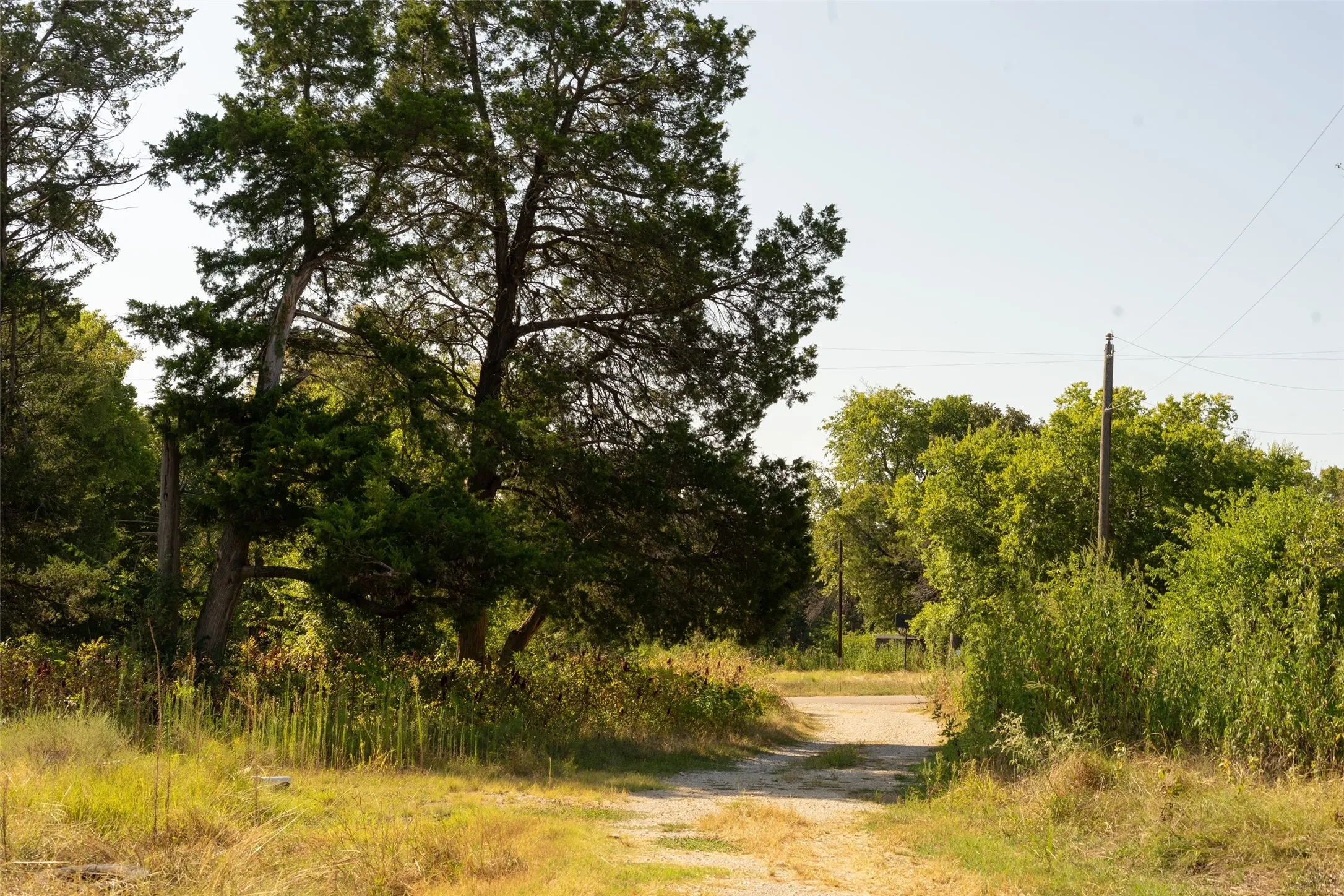 Unimproved Land For Sale in Grayson County , 5 Acres +- S Faye Lane, Whitesboro, Texas 76273, 0, 0, Garage spaces, 0 Sqft, built in 1950, mls#21391612, Real Estate Agent in Whitesboro, Homes For Sale in Grayson county, Homes For Sale in Whitesboro, Realtor in Whitesboro Texas, Real Estate Brokerage Independent Realty Texas, Luminita Cordes Realtor