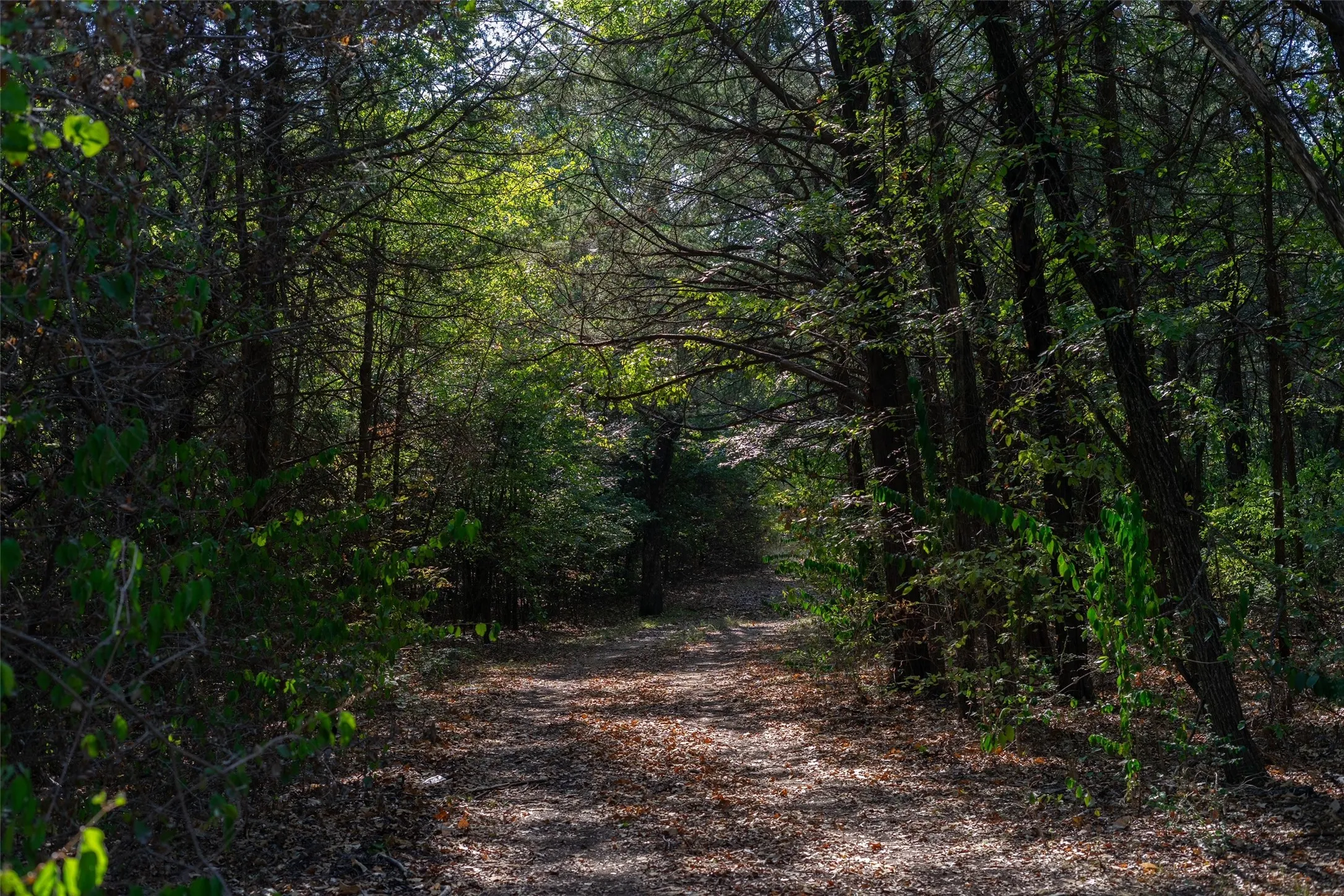 Unimproved Land For Sale in Grayson County , 5 Acres +- S Faye Lane, Whitesboro, Texas 76273, 0, 0, Garage spaces, 0 Sqft, built in 1950, mls#21391612, Real Estate Agent in Whitesboro, Homes For Sale in Grayson county, Homes For Sale in Whitesboro, Realtor in Whitesboro Texas, Real Estate Brokerage Independent Realty Texas, Luminita Cordes Realtor