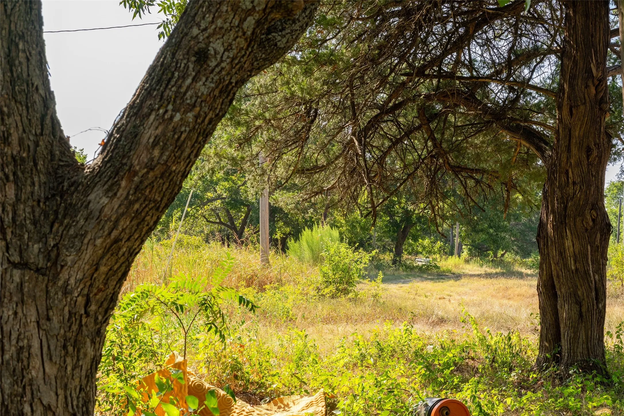 Unimproved Land For Sale in Grayson County , 5 Acres +- S Faye Lane, Whitesboro, Texas 76273, 0, 0, Garage spaces, 0 Sqft, built in 1950, mls#21391612, Real Estate Agent in Whitesboro, Homes For Sale in Grayson county, Homes For Sale in Whitesboro, Realtor in Whitesboro Texas, Real Estate Brokerage Independent Realty Texas, Luminita Cordes Realtor