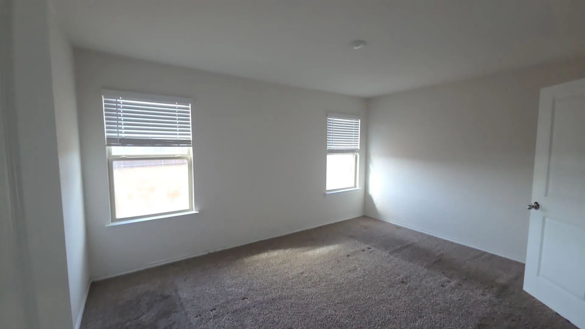 Neutral color palette with carpet flooring, two windows featuring horizontal blinds, and a white interior door