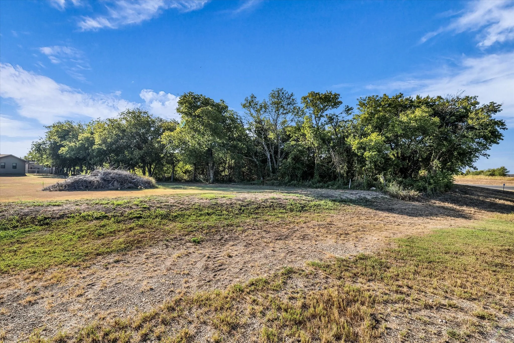 Expansive undeveloped land featuring mature trees and a clear blue sky