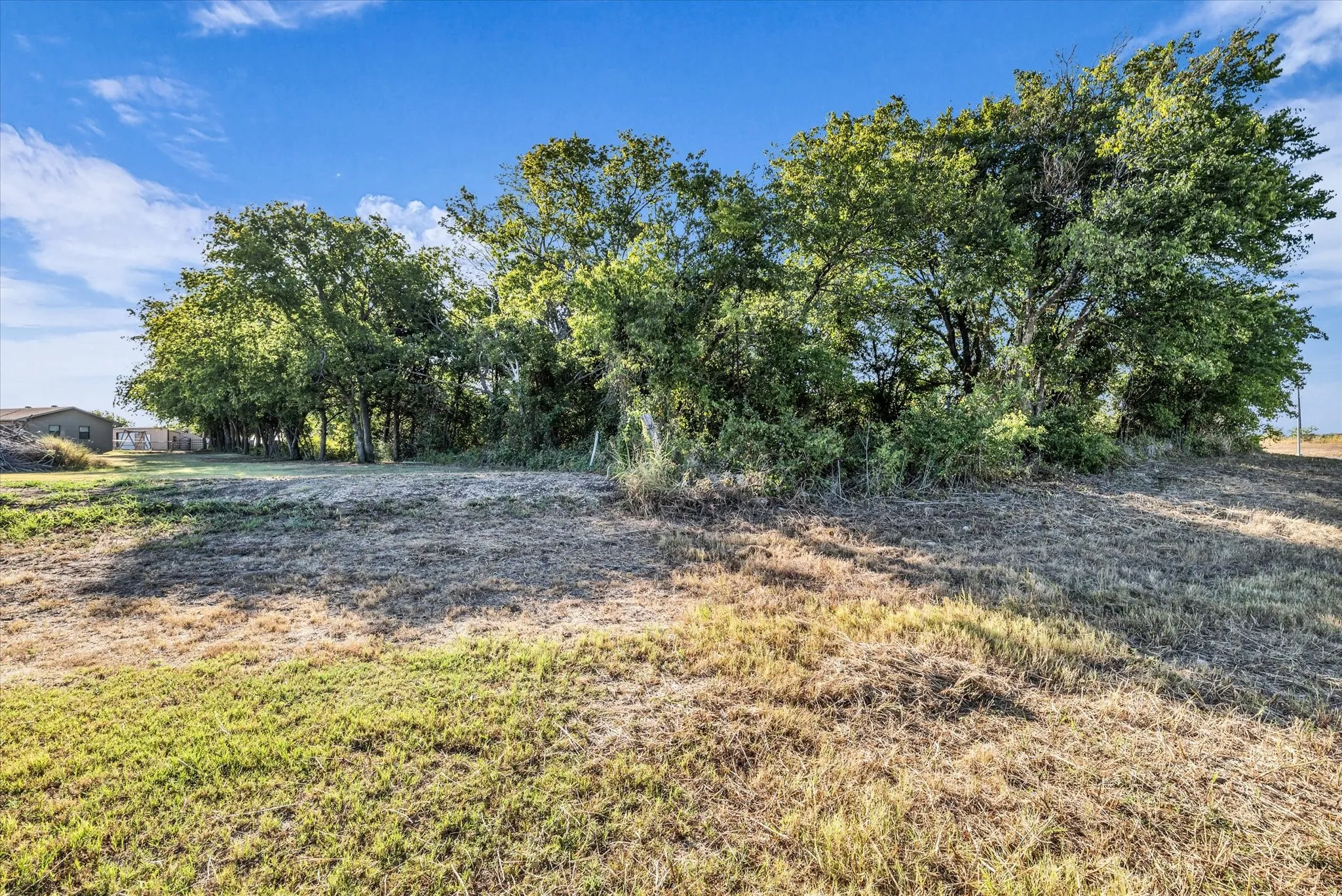 Expansive property featuring a clear blue sky, mature trees, and natural ground cover