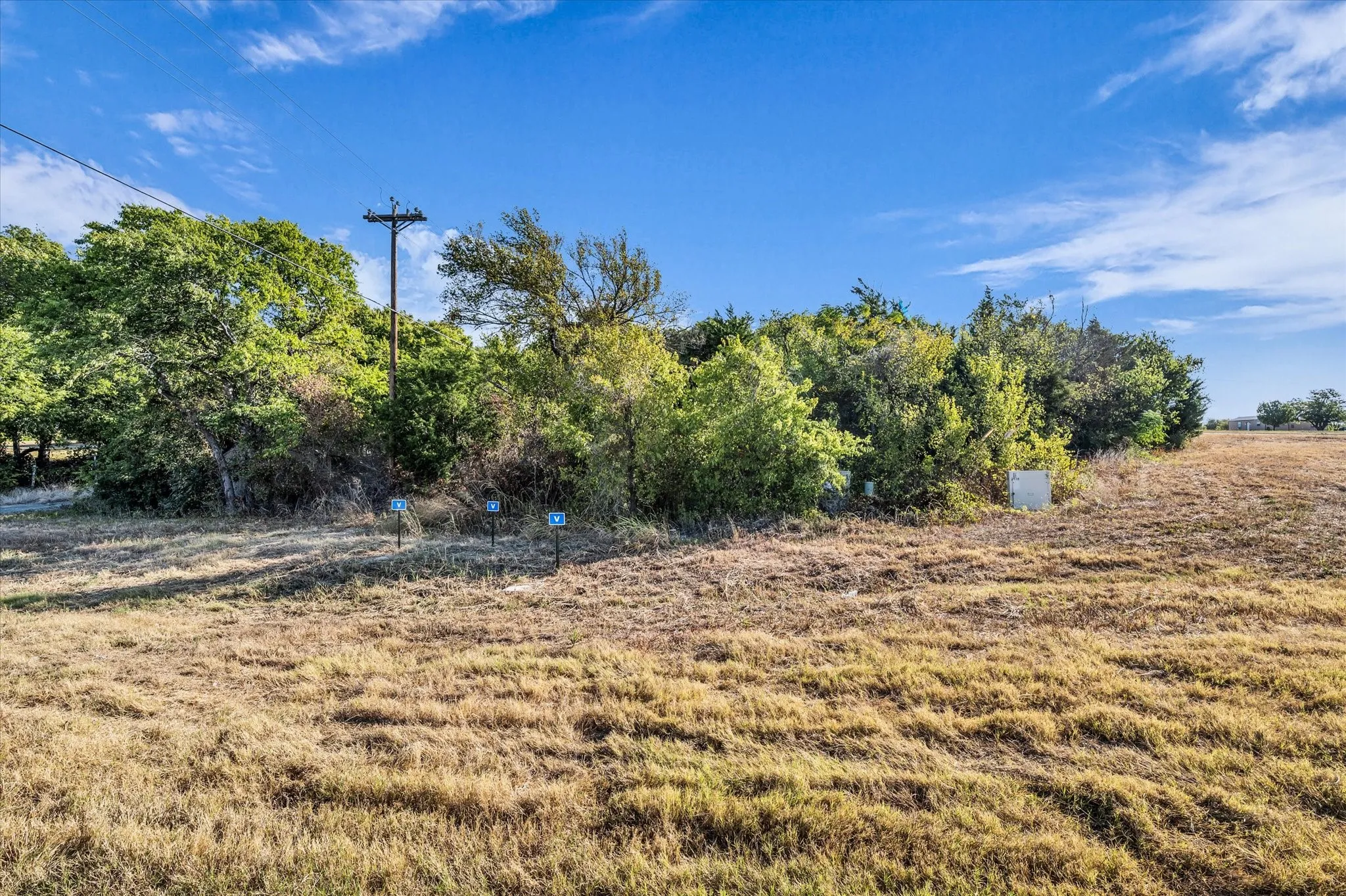 Expansive parcel of land featuring mature trees and utility access