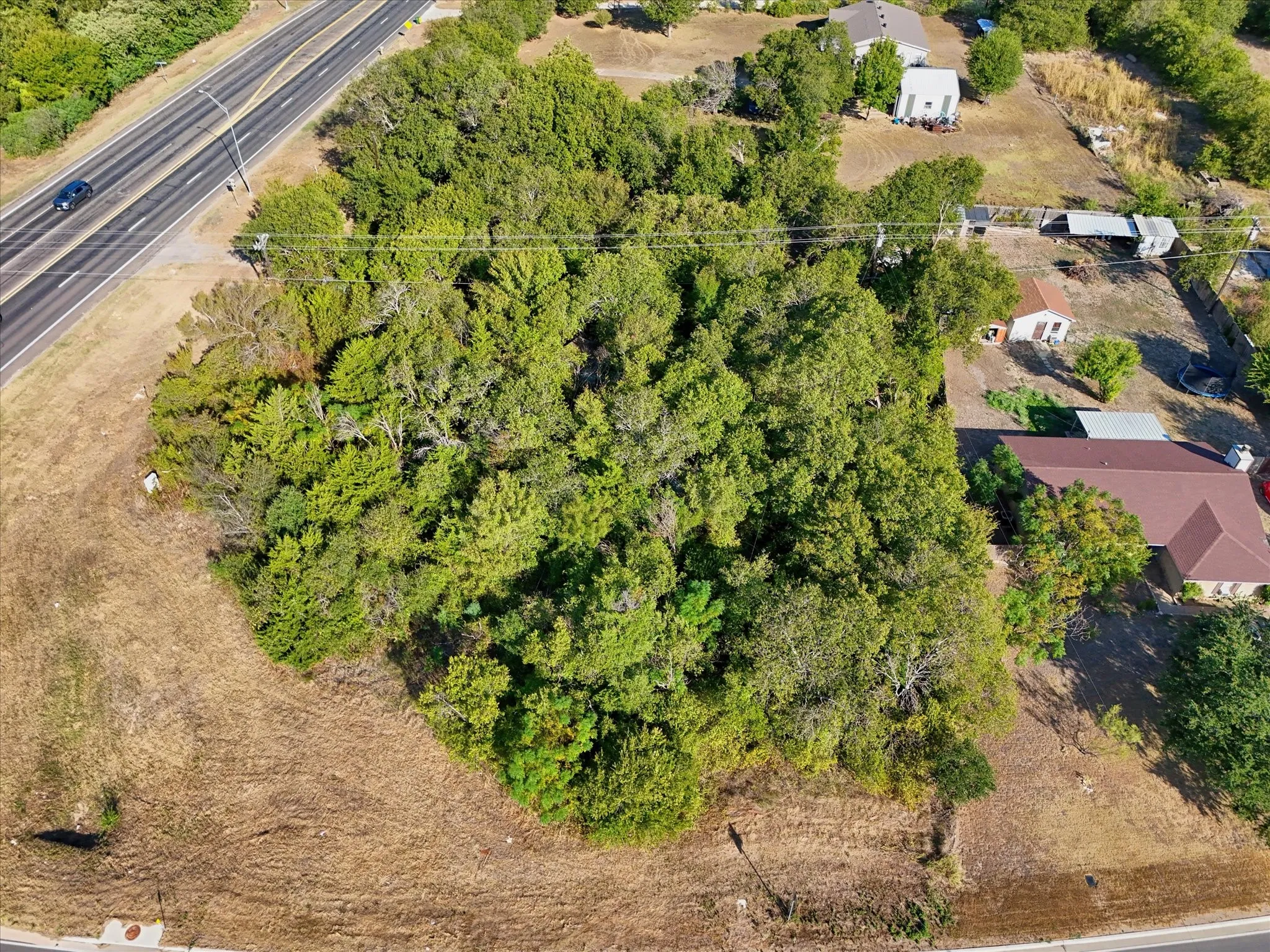 Expansive wooded lot with mature trees, bordered by a paved road
