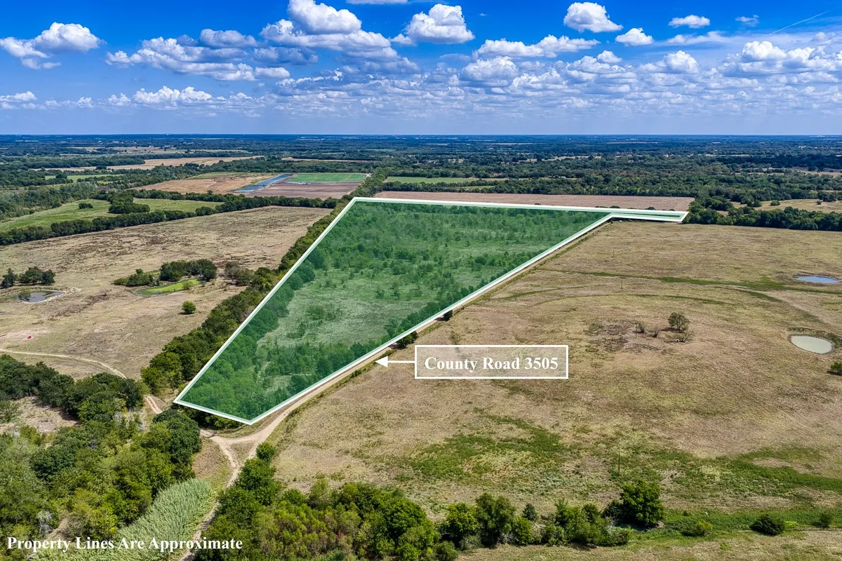 Unimproved Land For Sale in Delta County , 1 County Road 3505, Pecan Gap, Texas 75469, 0, 0, Garage spaces, 0 Sqft, built in 0, mls#21391668, Real Estate Agent in Pecan Gap, Homes For Sale in Delta county, Homes For Sale in Pecan Gap, Realtor in Pecan Gap Texas, Real Estate Brokerage Independent Realty Texas, Luminita Cordes Realtor