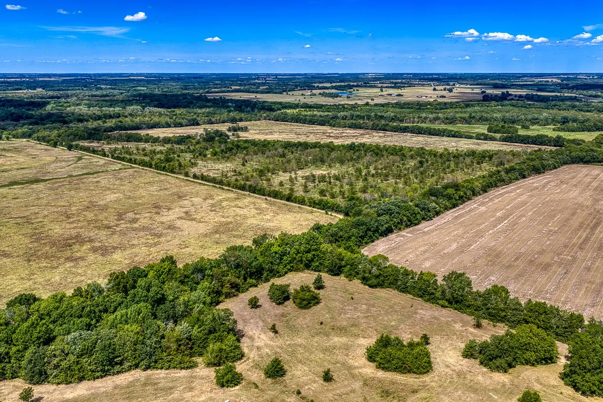Unimproved Land For Sale in Delta County , 1 County Road 3505, Pecan Gap, Texas 75469, 0, 0, Garage spaces, 0 Sqft, built in 0, mls#21391668, Real Estate Agent in Pecan Gap, Homes For Sale in Delta county, Homes For Sale in Pecan Gap, Realtor in Pecan Gap Texas, Real Estate Brokerage Independent Realty Texas, Luminita Cordes Realtor