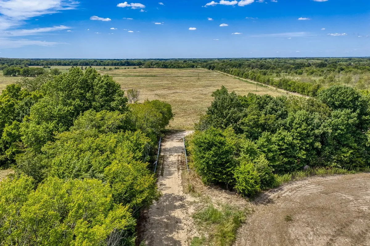 Unimproved Land For Sale in Delta County , 1 County Road 3505, Pecan Gap, Texas 75469, 0, 0, Garage spaces, 0 Sqft, built in 0, mls#21391668, Real Estate Agent in Pecan Gap, Homes For Sale in Delta county, Homes For Sale in Pecan Gap, Realtor in Pecan Gap Texas, Real Estate Brokerage Independent Realty Texas, Luminita Cordes Realtor