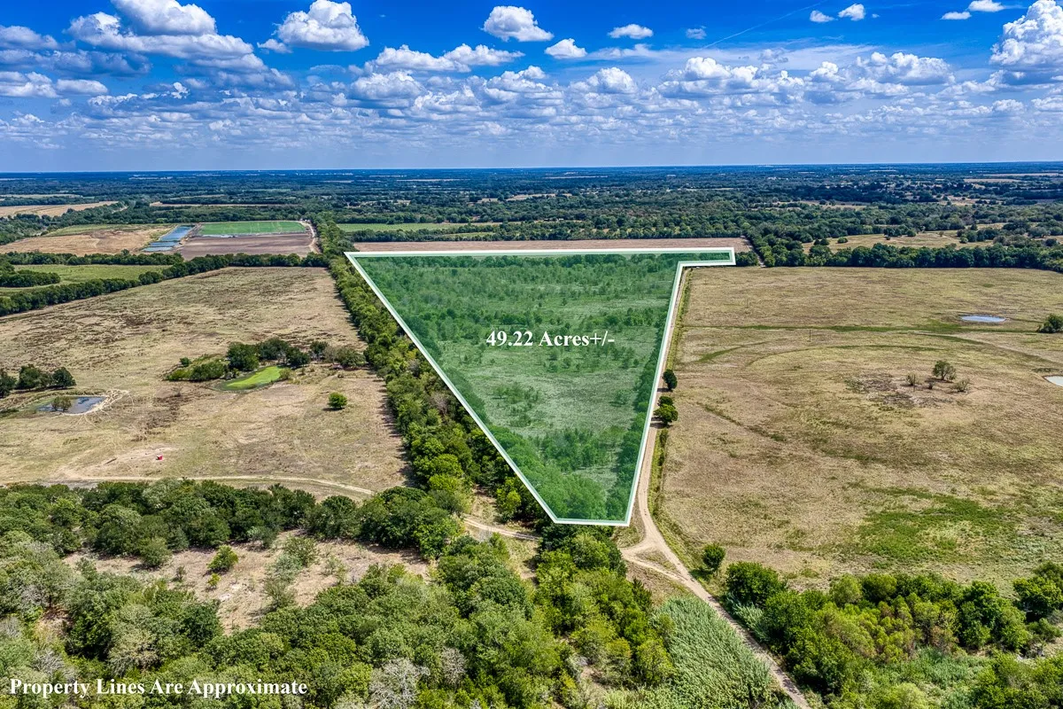 Unimproved Land For Sale in Delta County , 1 County Road 3505, Pecan Gap, Texas 75469, 0, 0, Garage spaces, 0 Sqft, built in 0, mls#21391668, Real Estate Agent in Pecan Gap, Homes For Sale in Delta county, Homes For Sale in Pecan Gap, Realtor in Pecan Gap Texas, Real Estate Brokerage Independent Realty Texas, Luminita Cordes Realtor