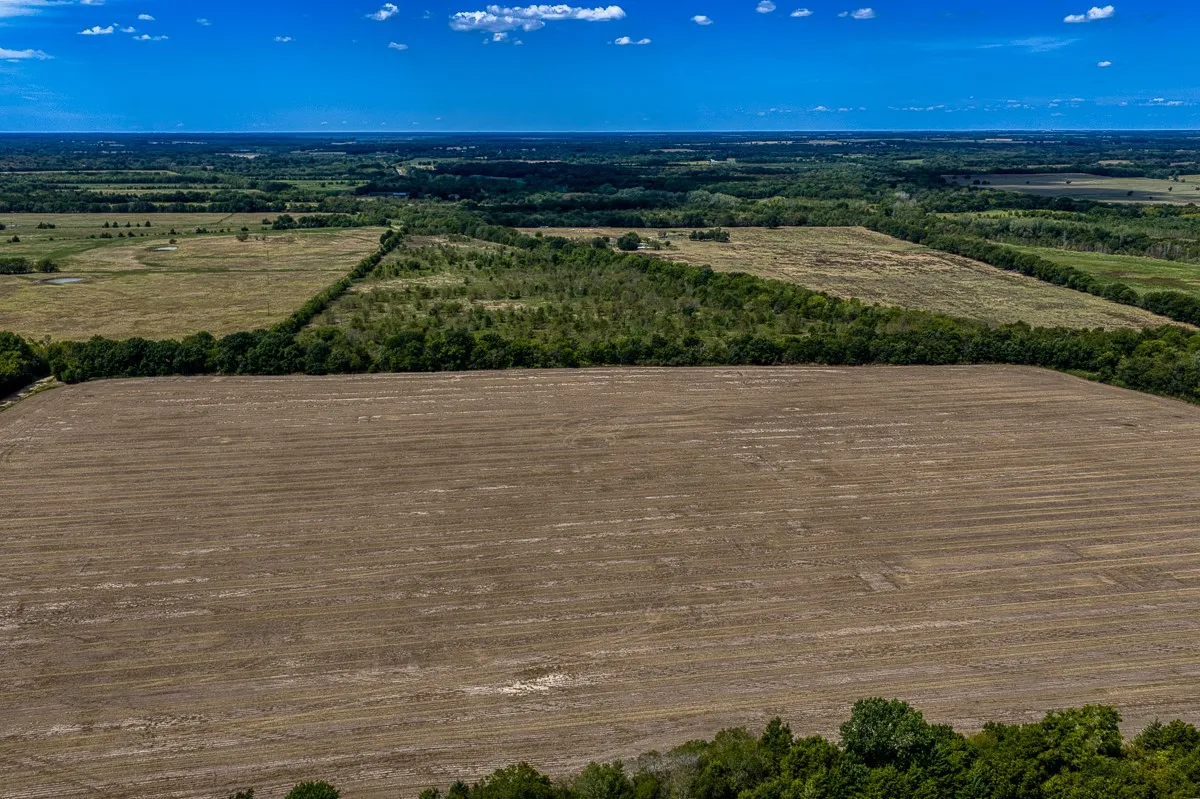 Unimproved Land For Sale in Delta County , 1 County Road 3505, Pecan Gap, Texas 75469, 0, 0, Garage spaces, 0 Sqft, built in 0, mls#21391668, Real Estate Agent in Pecan Gap, Homes For Sale in Delta county, Homes For Sale in Pecan Gap, Realtor in Pecan Gap Texas, Real Estate Brokerage Independent Realty Texas, Luminita Cordes Realtor