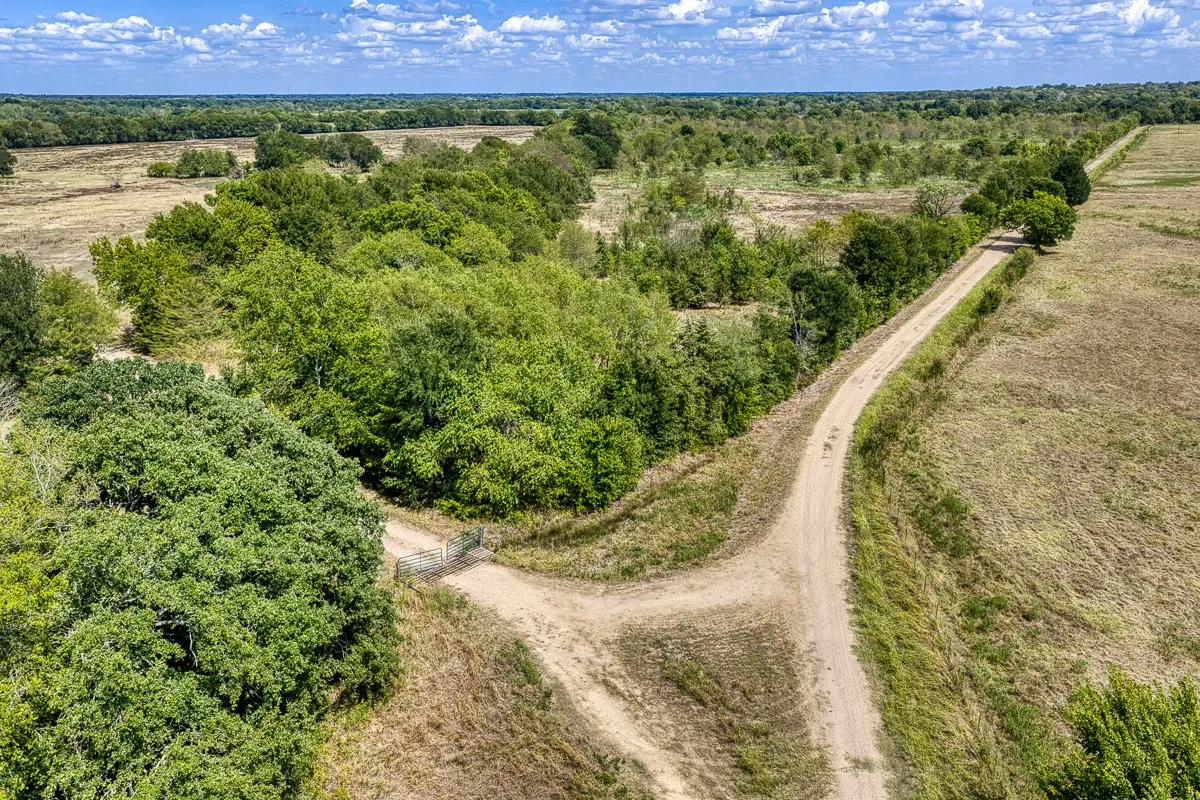 Unimproved Land For Sale in Delta County , 1 County Road 3505, Pecan Gap, Texas 75469, 0, 0, Garage spaces, 0 Sqft, built in 0, mls#21391668, Real Estate Agent in Pecan Gap, Homes For Sale in Delta county, Homes For Sale in Pecan Gap, Realtor in Pecan Gap Texas, Real Estate Brokerage Independent Realty Texas, Luminita Cordes Realtor