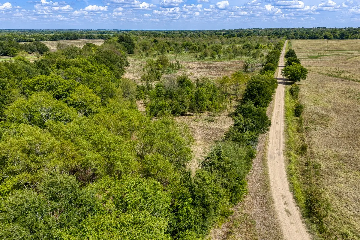 Unimproved Land For Sale in Delta County , 1 County Road 3505, Pecan Gap, Texas 75469, 0, 0, Garage spaces, 0 Sqft, built in 0, mls#21391668, Real Estate Agent in Pecan Gap, Homes For Sale in Delta county, Homes For Sale in Pecan Gap, Realtor in Pecan Gap Texas, Real Estate Brokerage Independent Realty Texas, Luminita Cordes Realtor