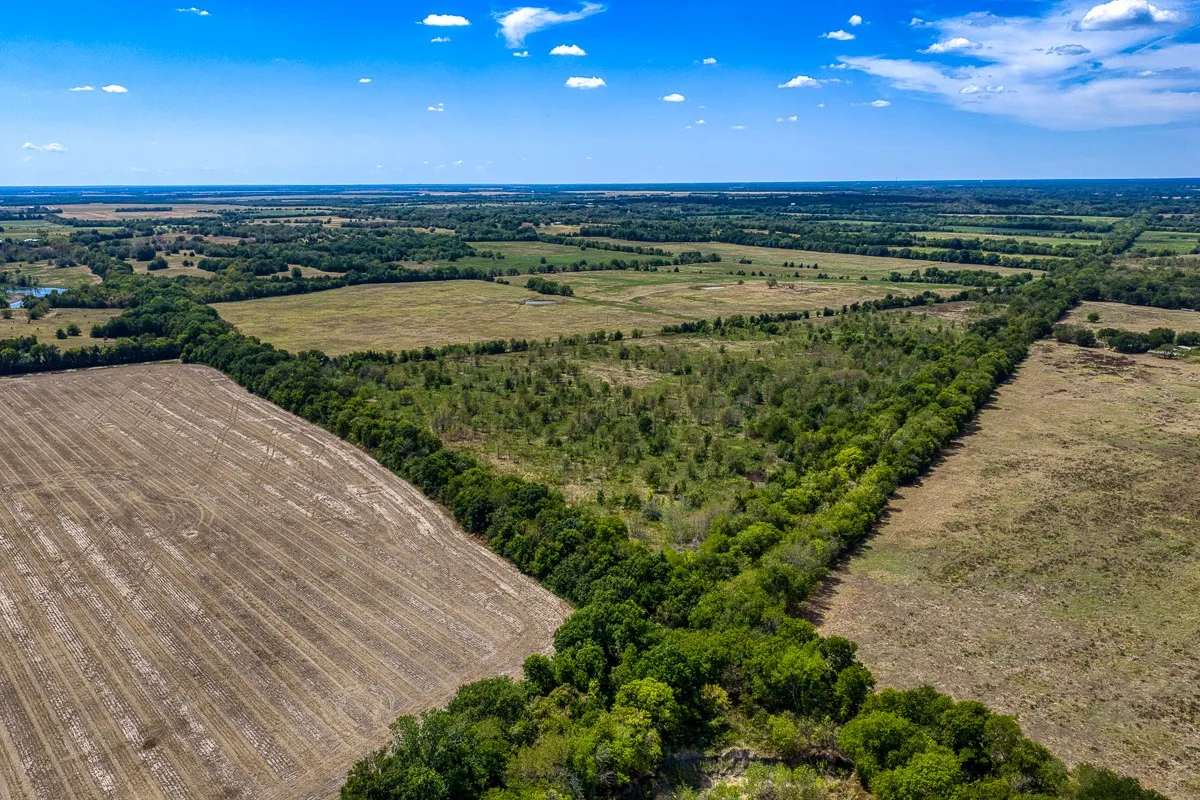 Unimproved Land For Sale in Delta County , 1 County Road 3505, Pecan Gap, Texas 75469, 0, 0, Garage spaces, 0 Sqft, built in 0, mls#21391668, Real Estate Agent in Pecan Gap, Homes For Sale in Delta county, Homes For Sale in Pecan Gap, Realtor in Pecan Gap Texas, Real Estate Brokerage Independent Realty Texas, Luminita Cordes Realtor