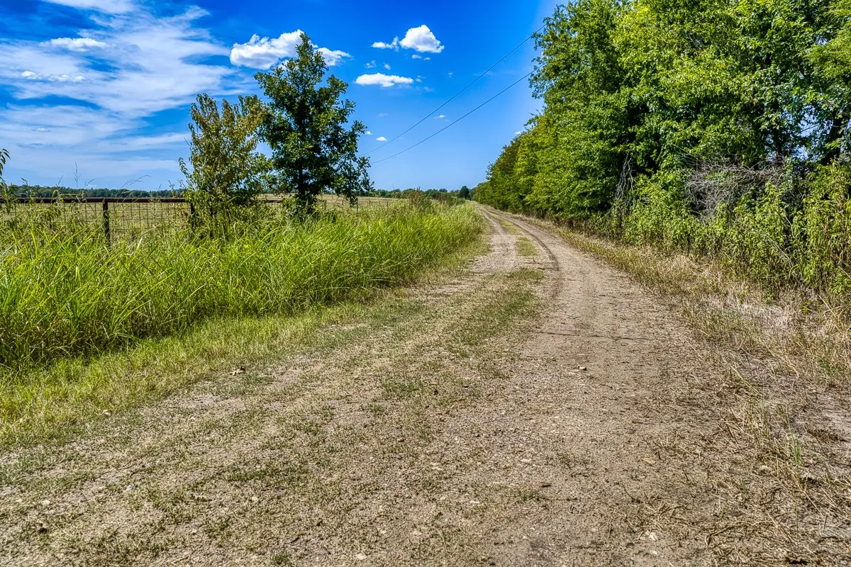 Unimproved Land For Sale in Delta County , 1 County Road 3505, Pecan Gap, Texas 75469, 0, 0, Garage spaces, 0 Sqft, built in 0, mls#21391668, Real Estate Agent in Pecan Gap, Homes For Sale in Delta county, Homes For Sale in Pecan Gap, Realtor in Pecan Gap Texas, Real Estate Brokerage Independent Realty Texas, Luminita Cordes Realtor