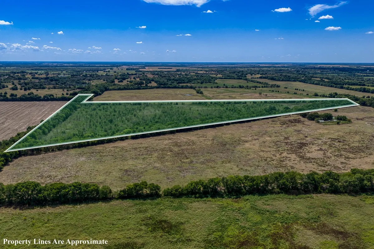 Unimproved Land For Sale