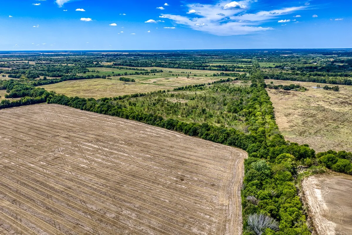 Unimproved Land For Sale in Delta County , 1 County Road 3505, Pecan Gap, Texas 75469, 0, 0, Garage spaces, 0 Sqft, built in 0, mls#21391668, Real Estate Agent in Pecan Gap, Homes For Sale in Delta county, Homes For Sale in Pecan Gap, Realtor in Pecan Gap Texas, Real Estate Brokerage Independent Realty Texas, Luminita Cordes Realtor