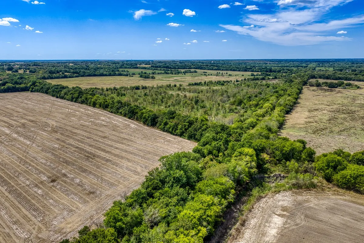 Unimproved Land For Sale in Delta County , 1 County Road 3505, Pecan Gap, Texas 75469, 0, 0, Garage spaces, 0 Sqft, built in 0, mls#21391668, Real Estate Agent in Pecan Gap, Homes For Sale in Delta county, Homes For Sale in Pecan Gap, Realtor in Pecan Gap Texas, Real Estate Brokerage Independent Realty Texas, Luminita Cordes Realtor