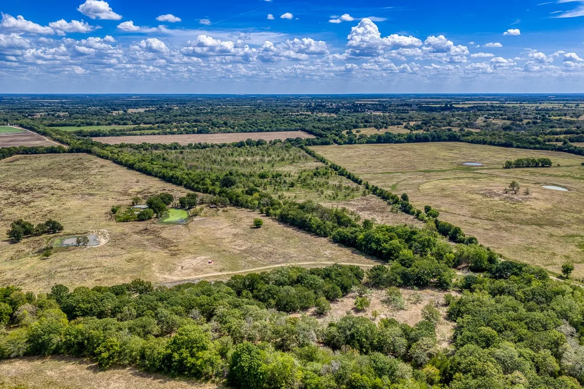 Unimproved Land For Sale in Delta County , 1 County Road 3505, Pecan Gap, Texas 75469, 0, 0, Garage spaces, 0 Sqft, built in 0, mls#21391668, Real Estate Agent in Pecan Gap, Homes For Sale in Delta county, Homes For Sale in Pecan Gap, Realtor in Pecan Gap Texas, Real Estate Brokerage Independent Realty Texas, Luminita Cordes Realtor