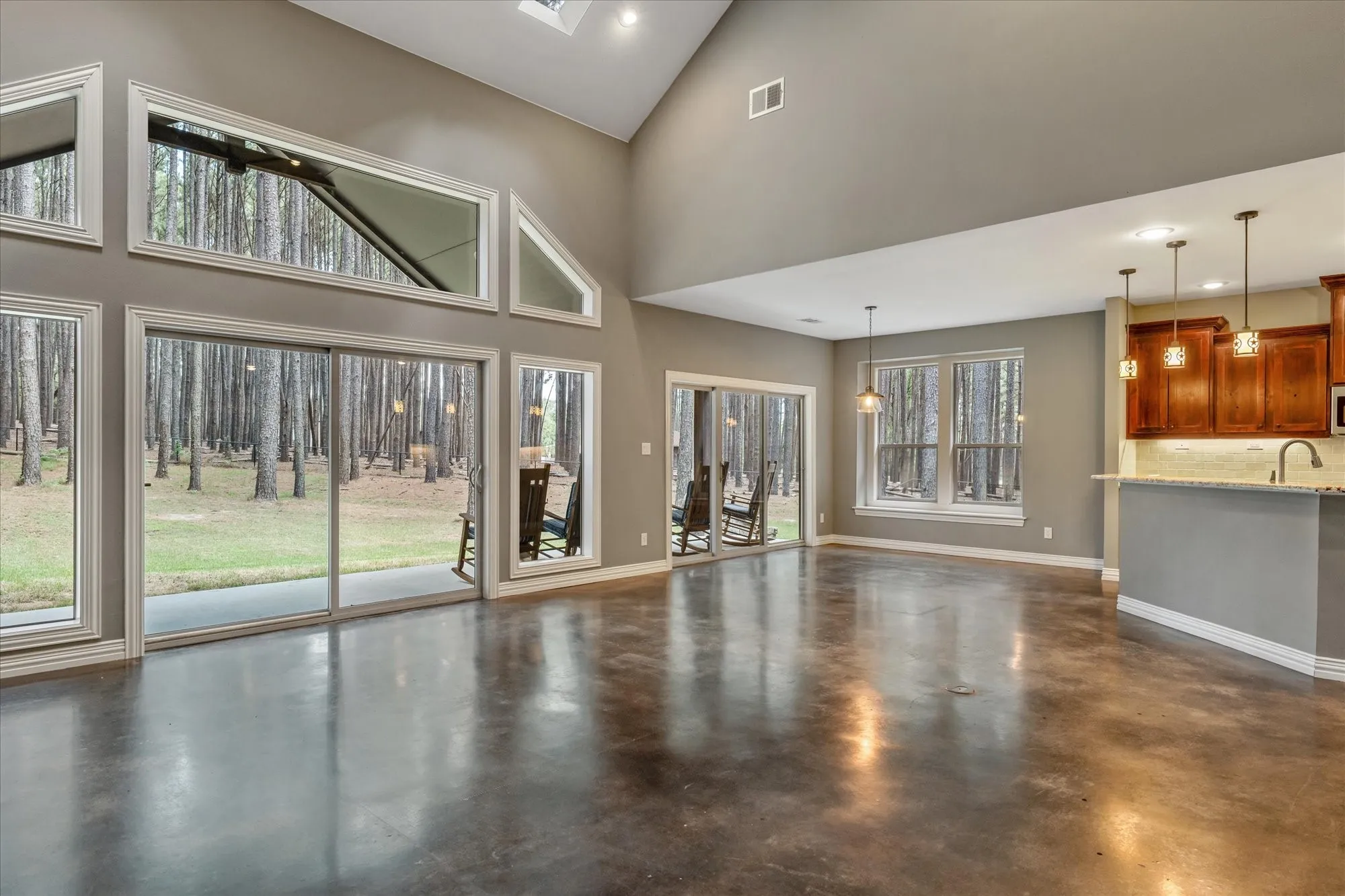 Broader view of living  and sliding doors out to back porch