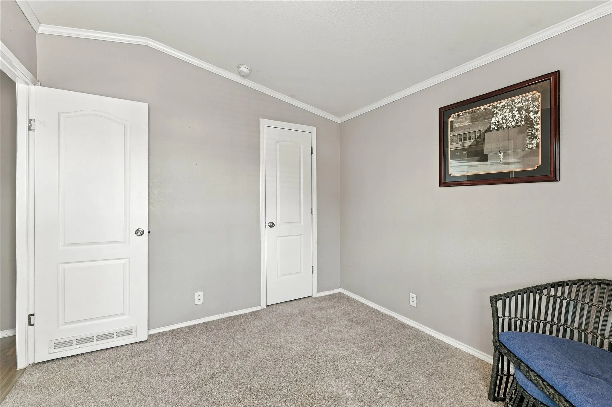 Light grey wall paint with white trim, two paneled doors, and carpeted flooring
