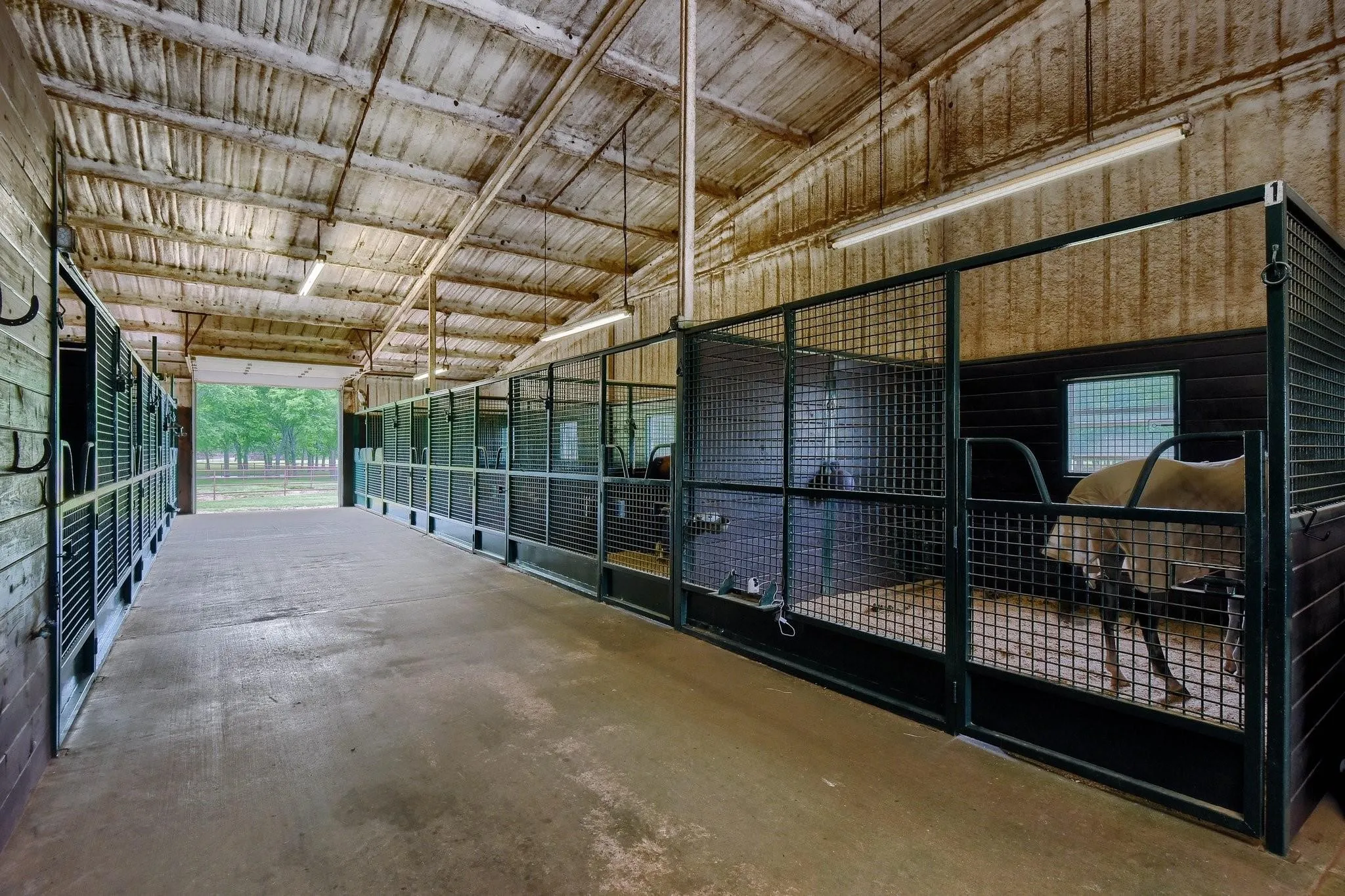 View of horse barn