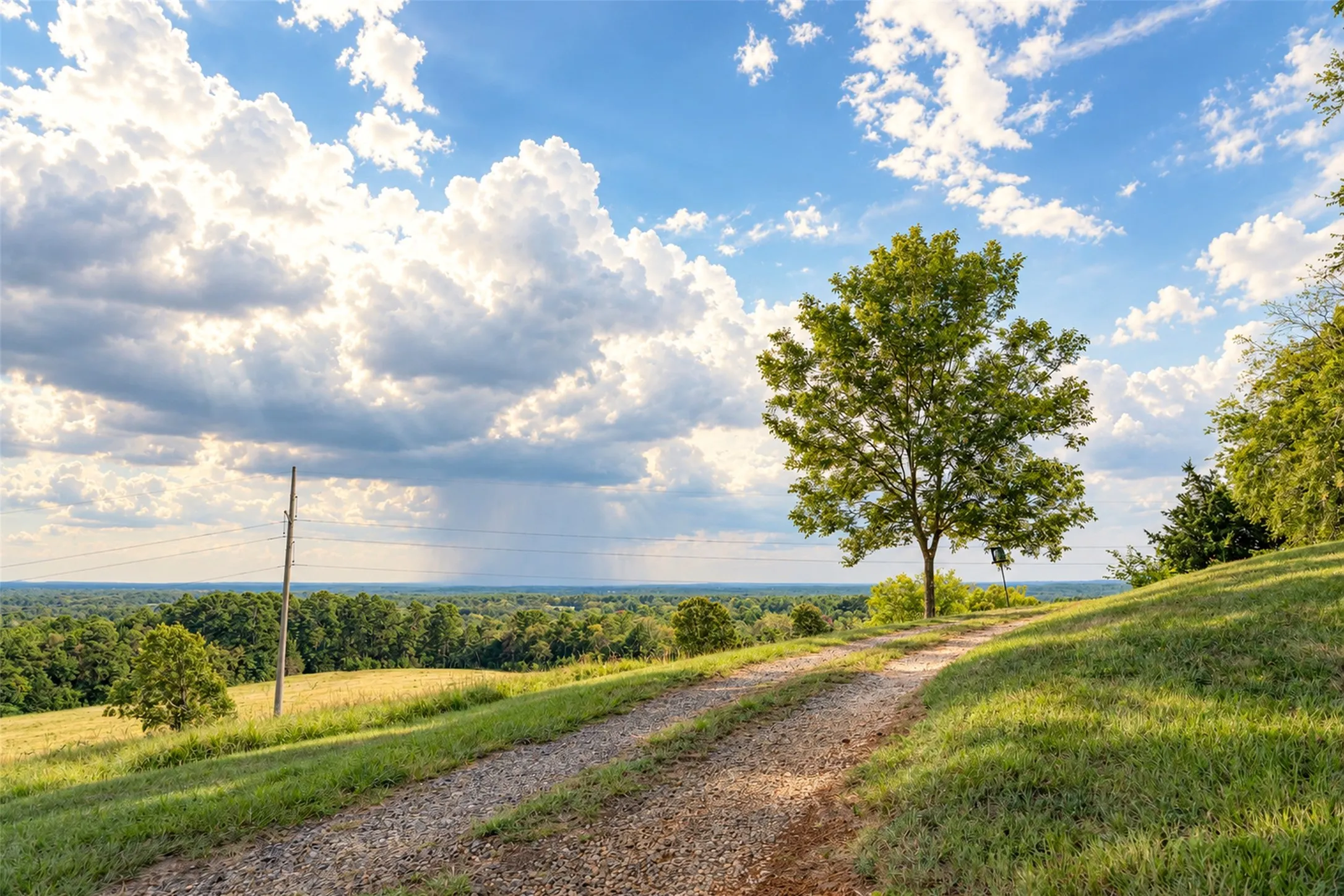 Unimproved Land For Sale in Cherokee County , 500 County Road 3805, Bullard, Texas 75757, 0, 0, Garage spaces, 0 Sqft, built in 0, mls#21391693, Real Estate Agent in Bullard, Homes For Sale in Cherokee county, Homes For Sale in Bullard, Realtor in Bullard Texas, Real Estate Brokerage Independent Realty Texas, Luminita Cordes Realtor