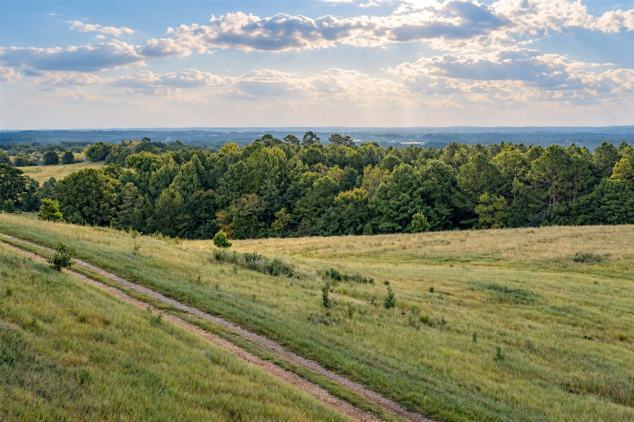 Unimproved Land For Sale in Cherokee County , 500 County Road 3805, Bullard, Texas 75757, 0, 0, Garage spaces, 0 Sqft, built in 0, mls#21391693, Real Estate Agent in Bullard, Homes For Sale in Cherokee county, Homes For Sale in Bullard, Realtor in Bullard Texas, Real Estate Brokerage Independent Realty Texas, Luminita Cordes Realtor