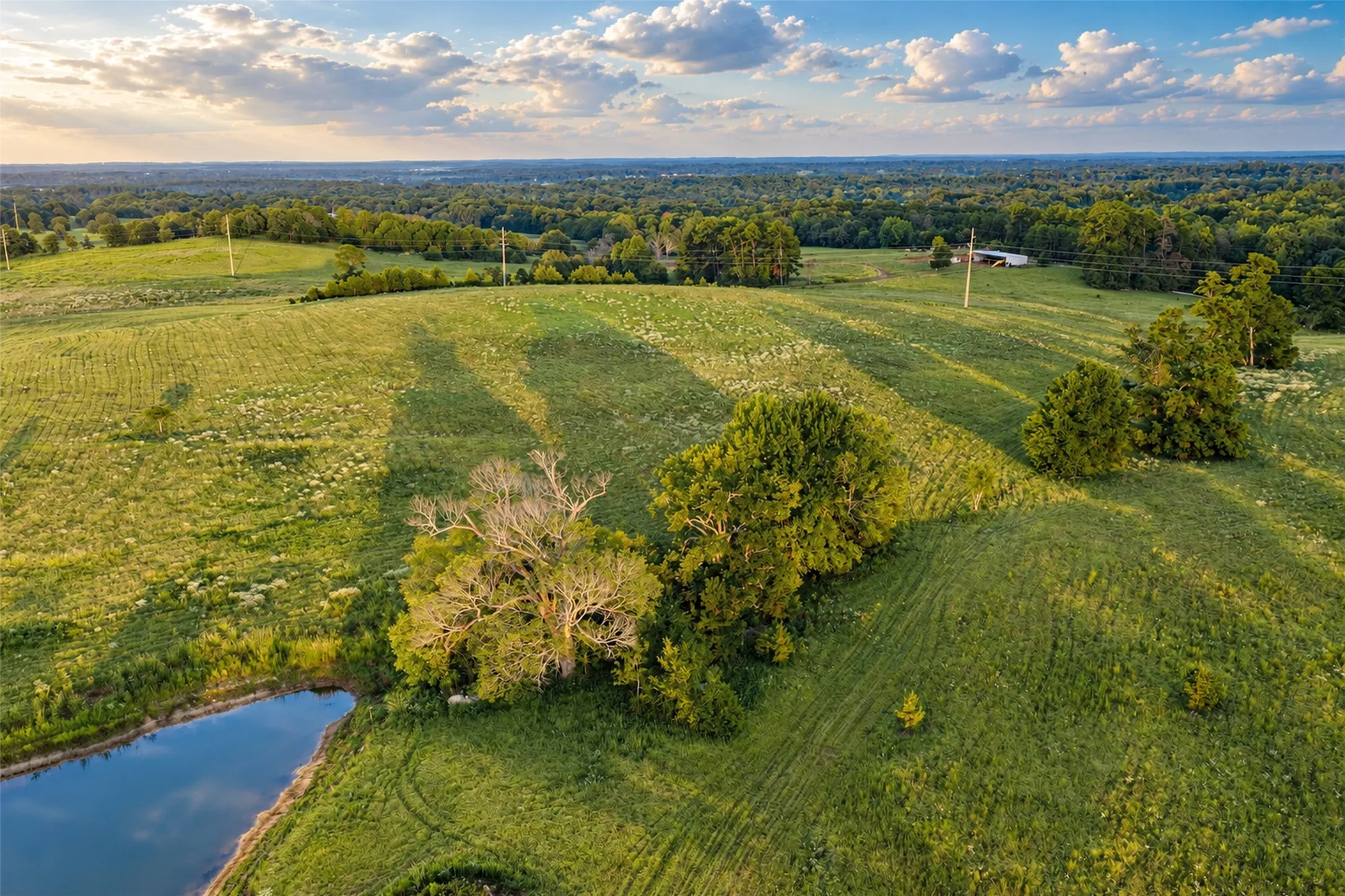 Unimproved Land For Sale in Cherokee County , 500 County Road 3805, Bullard, Texas 75757, 0, 0, Garage spaces, 0 Sqft, built in 0, mls#21391693, Real Estate Agent in Bullard, Homes For Sale in Cherokee county, Homes For Sale in Bullard, Realtor in Bullard Texas, Real Estate Brokerage Independent Realty Texas, Luminita Cordes Realtor