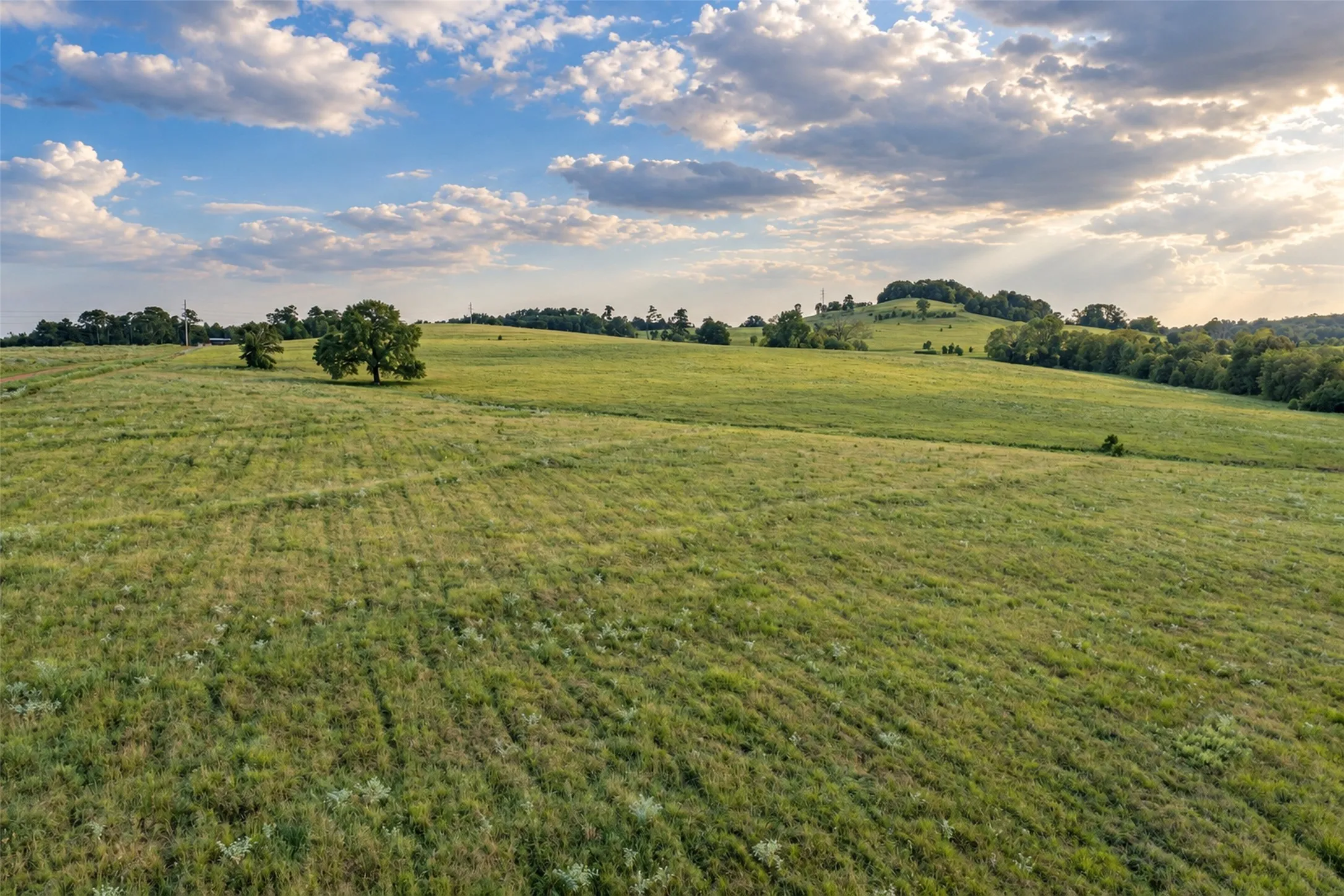 Unimproved Land For Sale in Cherokee County , 500 County Road 3805, Bullard, Texas 75757, 0, 0, Garage spaces, 0 Sqft, built in 0, mls#21391693, Real Estate Agent in Bullard, Homes For Sale in Cherokee county, Homes For Sale in Bullard, Realtor in Bullard Texas, Real Estate Brokerage Independent Realty Texas, Luminita Cordes Realtor