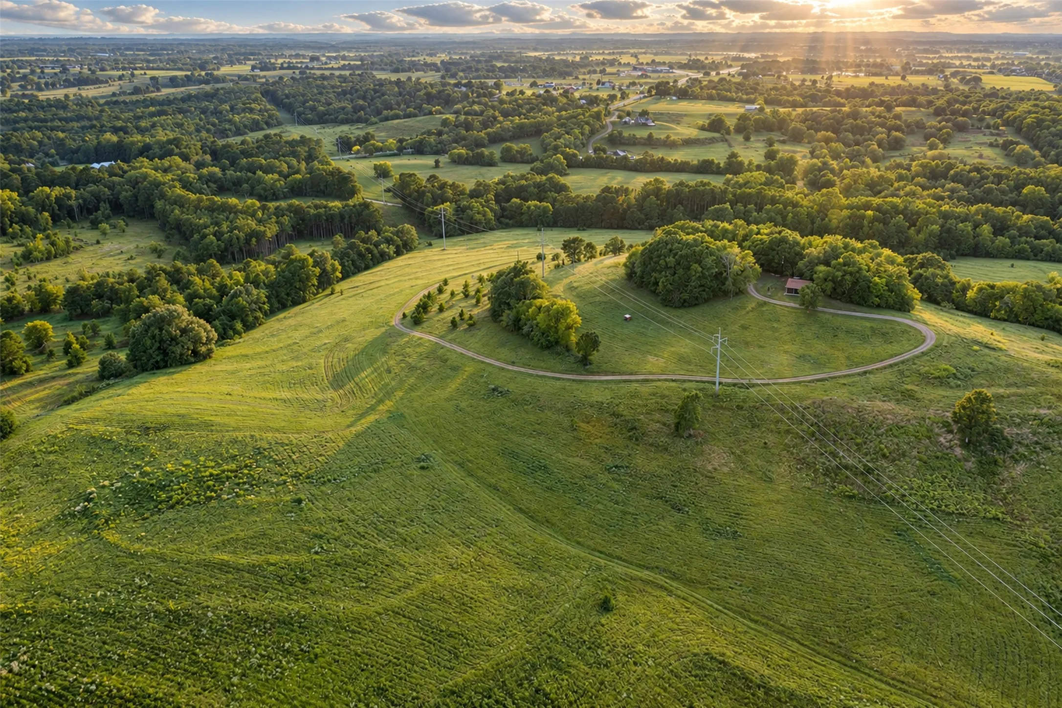 Unimproved Land For Sale in Cherokee County , 500 County Road 3805, Bullard, Texas 75757, 0, 0, Garage spaces, 0 Sqft, built in 0, mls#21391693, Real Estate Agent in Bullard, Homes For Sale in Cherokee county, Homes For Sale in Bullard, Realtor in Bullard Texas, Real Estate Brokerage Independent Realty Texas, Luminita Cordes Realtor