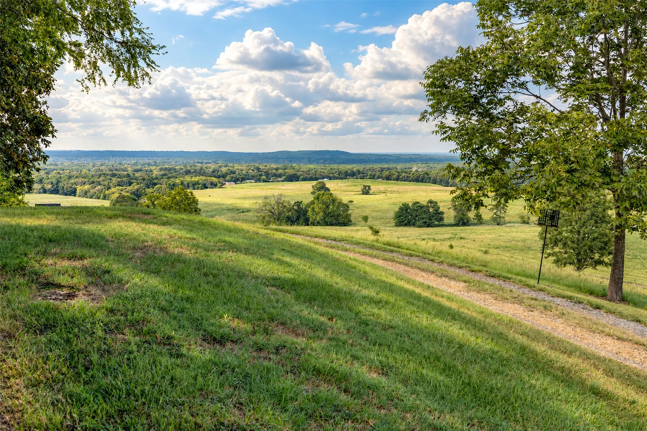 Unimproved Land For Sale in Cherokee County , 500 County Road 3805, Bullard, Texas 75757, 0, 0, Garage spaces, 0 Sqft, built in 0, mls#21391693, Real Estate Agent in Bullard, Homes For Sale in Cherokee county, Homes For Sale in Bullard, Realtor in Bullard Texas, Real Estate Brokerage Independent Realty Texas, Luminita Cordes Realtor