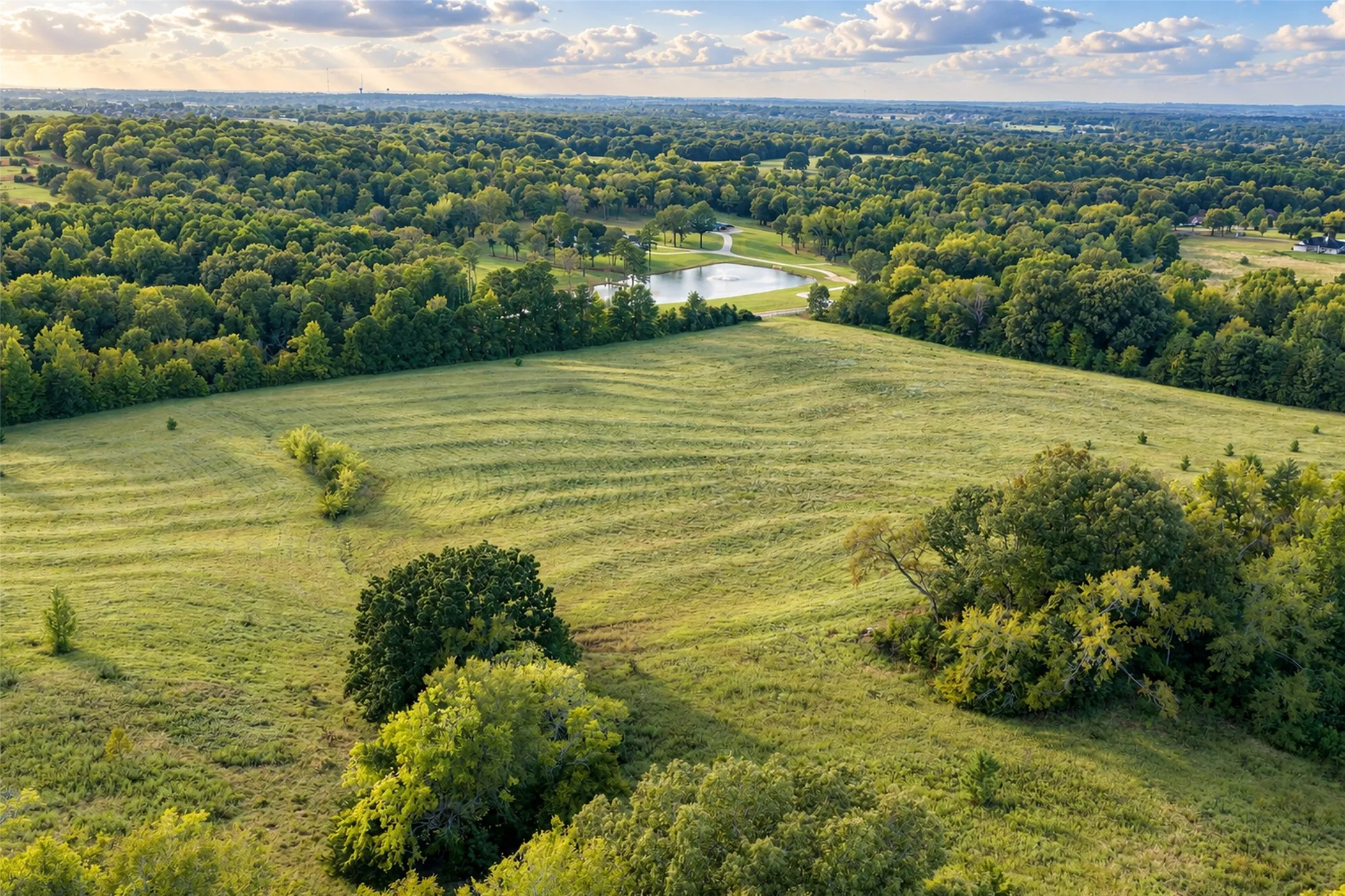 Unimproved Land For Sale in Cherokee County , 500 County Road 3805, Bullard, Texas 75757, 0, 0, Garage spaces, 0 Sqft, built in 0, mls#21391693, Real Estate Agent in Bullard, Homes For Sale in Cherokee county, Homes For Sale in Bullard, Realtor in Bullard Texas, Real Estate Brokerage Independent Realty Texas, Luminita Cordes Realtor
