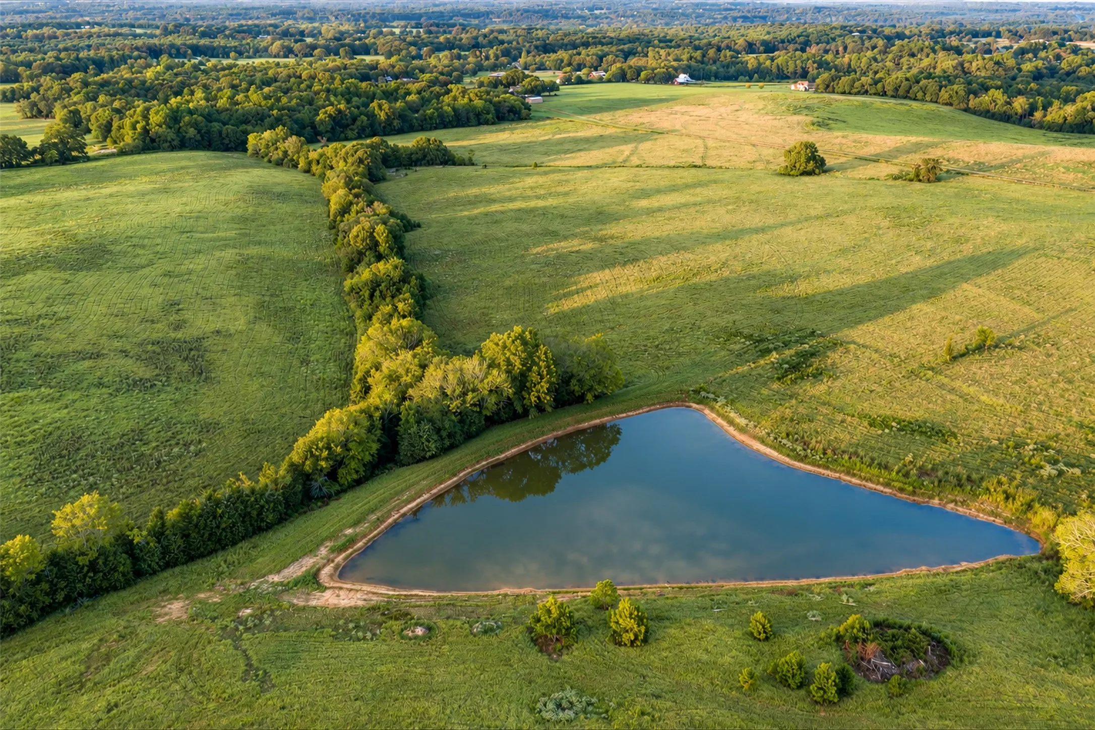Unimproved Land For Sale in Cherokee County , 500 County Road 3805, Bullard, Texas 75757, 0, 0, Garage spaces, 0 Sqft, built in 0, mls#21391693, Real Estate Agent in Bullard, Homes For Sale in Cherokee county, Homes For Sale in Bullard, Realtor in Bullard Texas, Real Estate Brokerage Independent Realty Texas, Luminita Cordes Realtor