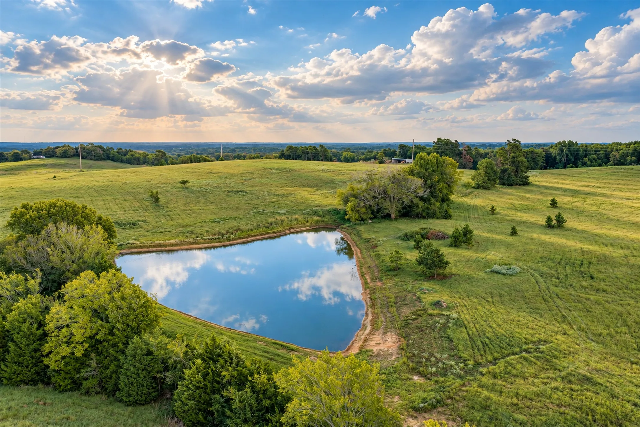 Unimproved Land For Sale in Cherokee County , 500 County Road 3805, Bullard, Texas 75757, 0, 0, Garage spaces, 0 Sqft, built in 0, mls#21391693, Real Estate Agent in Bullard, Homes For Sale in Cherokee county, Homes For Sale in Bullard, Realtor in Bullard Texas, Real Estate Brokerage Independent Realty Texas, Luminita Cordes Realtor
