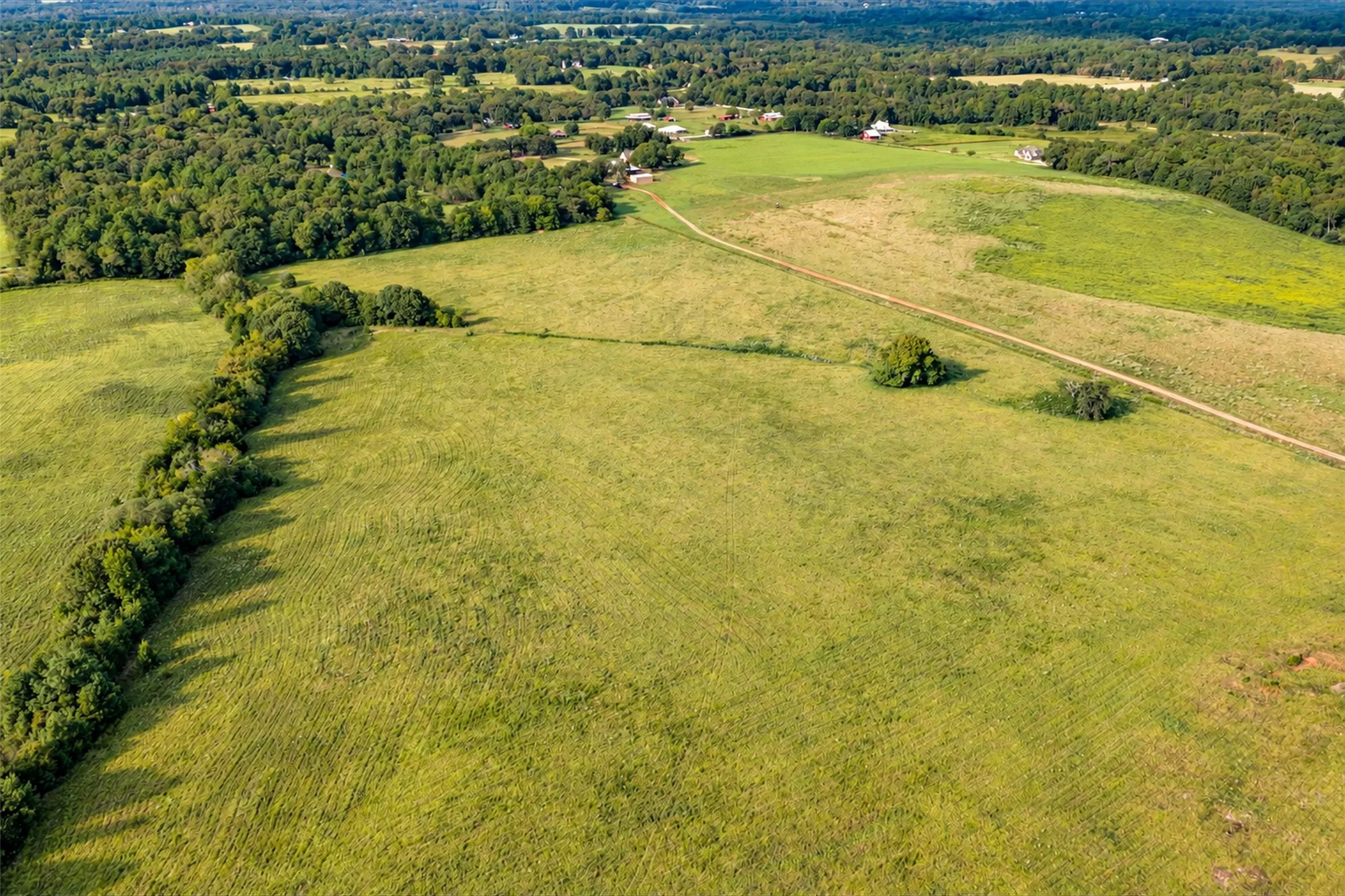Unimproved Land For Sale in Cherokee County , 500 County Road 3805, Bullard, Texas 75757, 0, 0, Garage spaces, 0 Sqft, built in 0, mls#21391693, Real Estate Agent in Bullard, Homes For Sale in Cherokee county, Homes For Sale in Bullard, Realtor in Bullard Texas, Real Estate Brokerage Independent Realty Texas, Luminita Cordes Realtor