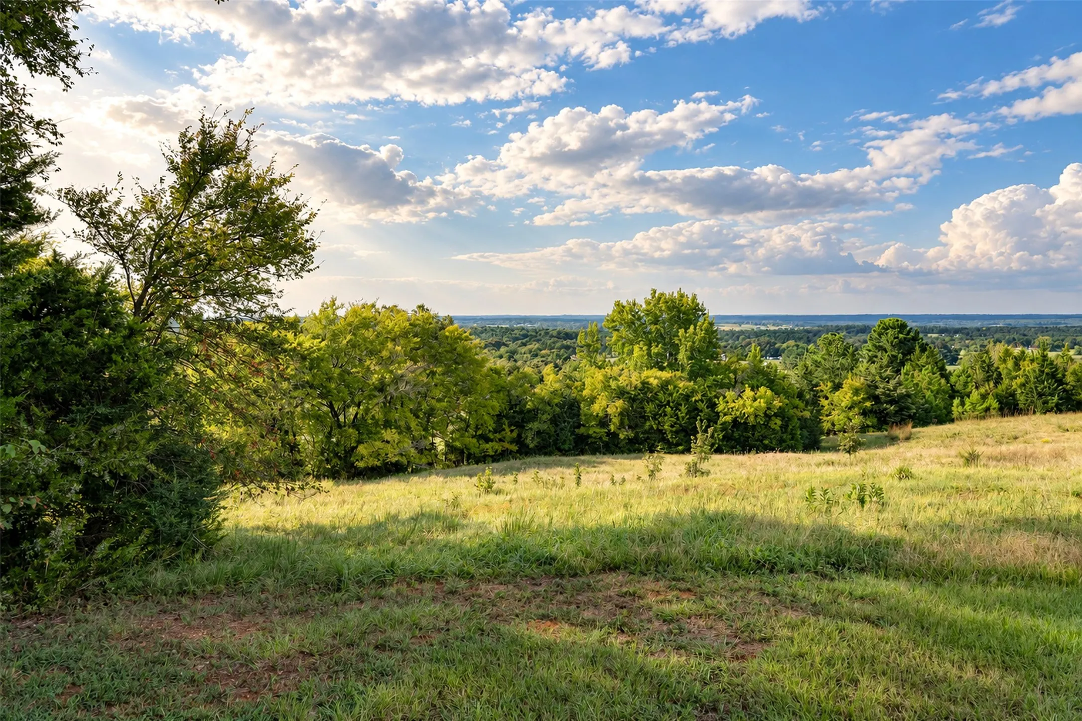 Unimproved Land For Sale in Cherokee County , 500 County Road 3805, Bullard, Texas 75757, 0, 0, Garage spaces, 0 Sqft, built in 0, mls#21391693, Real Estate Agent in Bullard, Homes For Sale in Cherokee county, Homes For Sale in Bullard, Realtor in Bullard Texas, Real Estate Brokerage Independent Realty Texas, Luminita Cordes Realtor