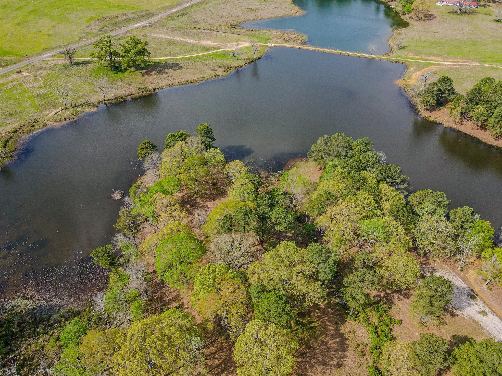 Wider view of the lake.