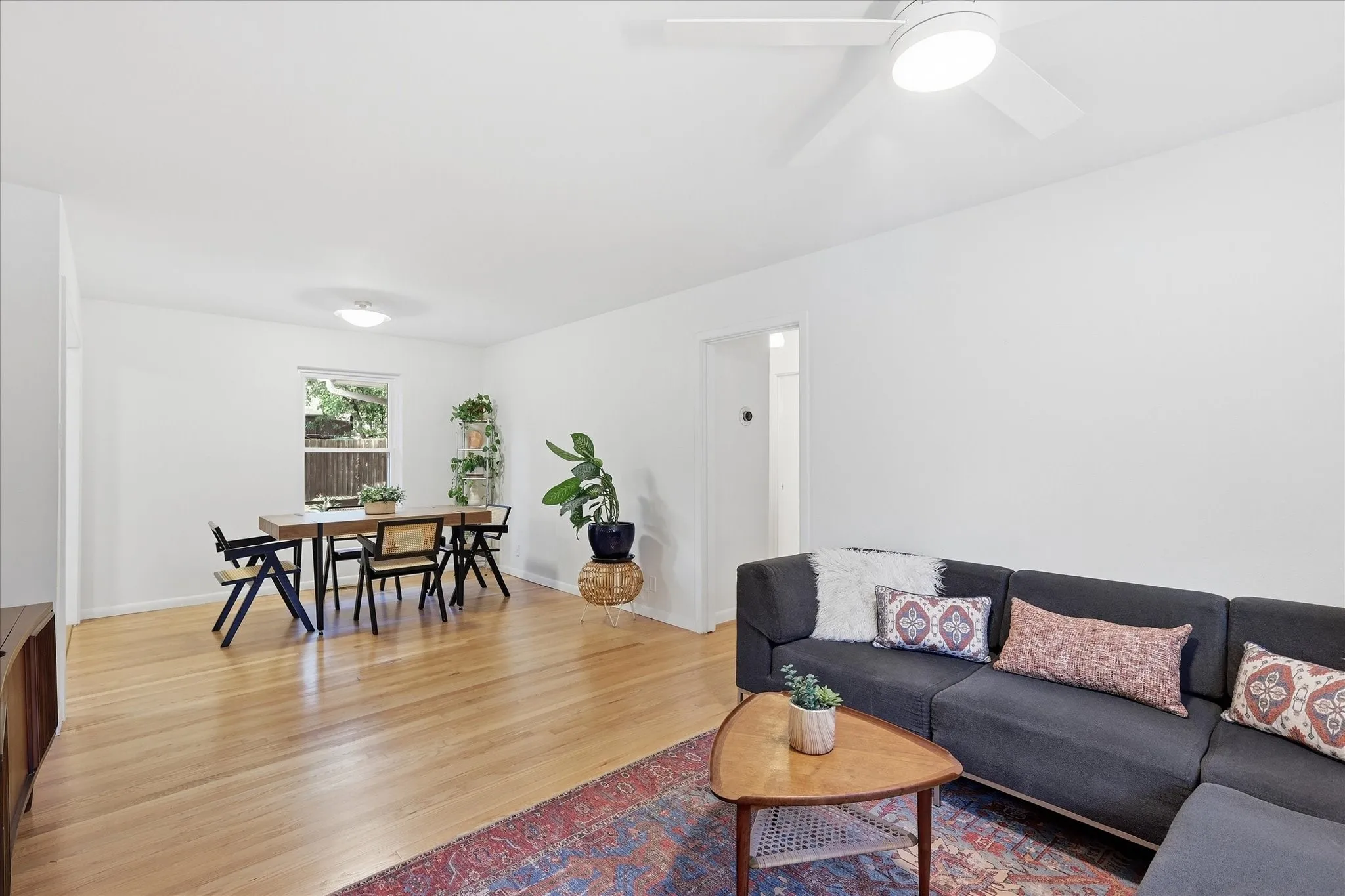 Gorgeous refinished original oak floors