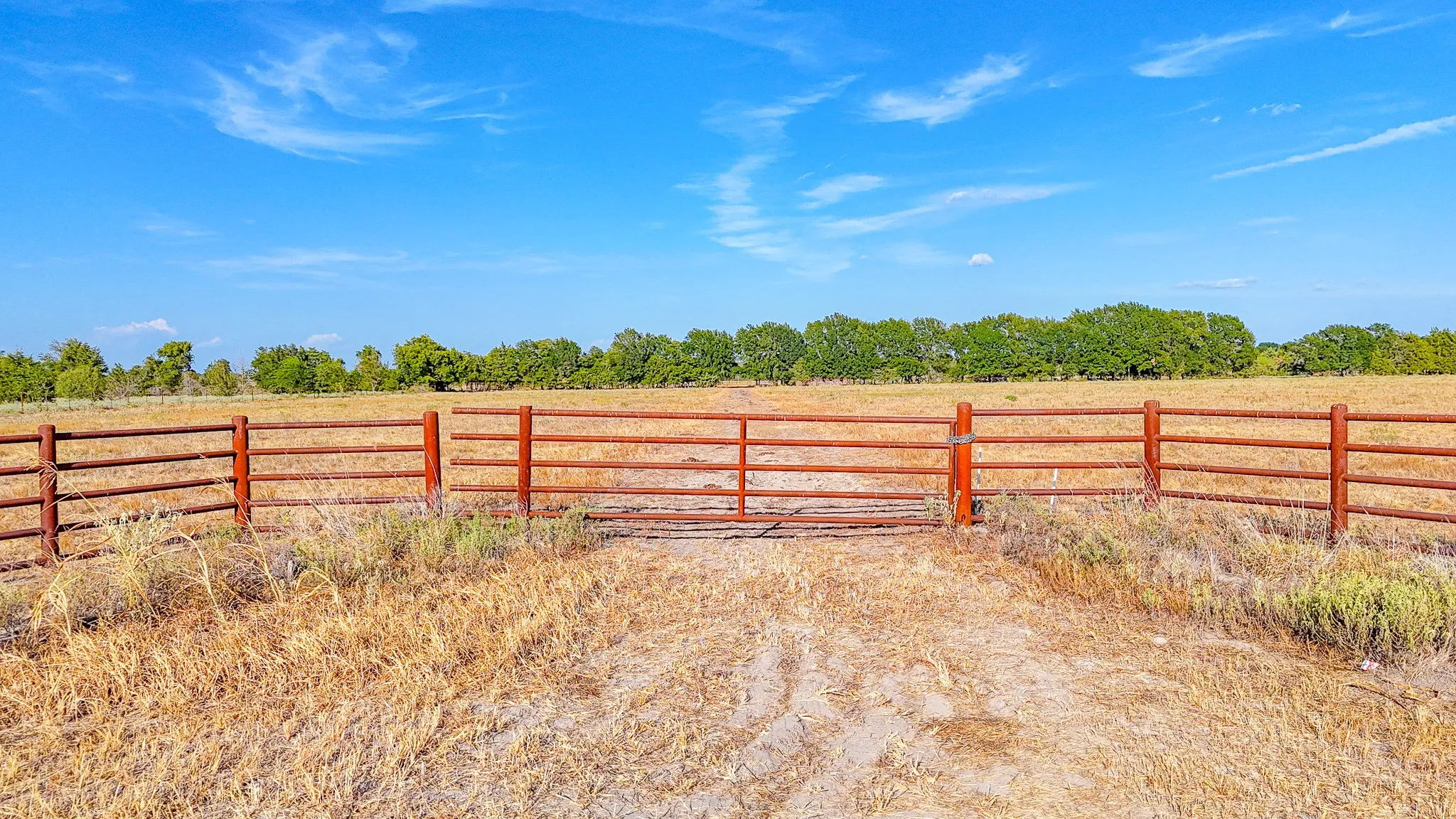 Unimproved Land For Sale in Navarro County , TBD County Road 2190, Kerens, Texas 75144, 0, 0, Garage spaces, 0 Sqft, built in 0, mls#21389650, Real Estate Agent in Kerens, Homes For Sale in Navarro county, Homes For Sale in Kerens, Realtor in Kerens Texas, Real Estate Brokerage Independent Realty Texas, Luminita Cordes Realtor