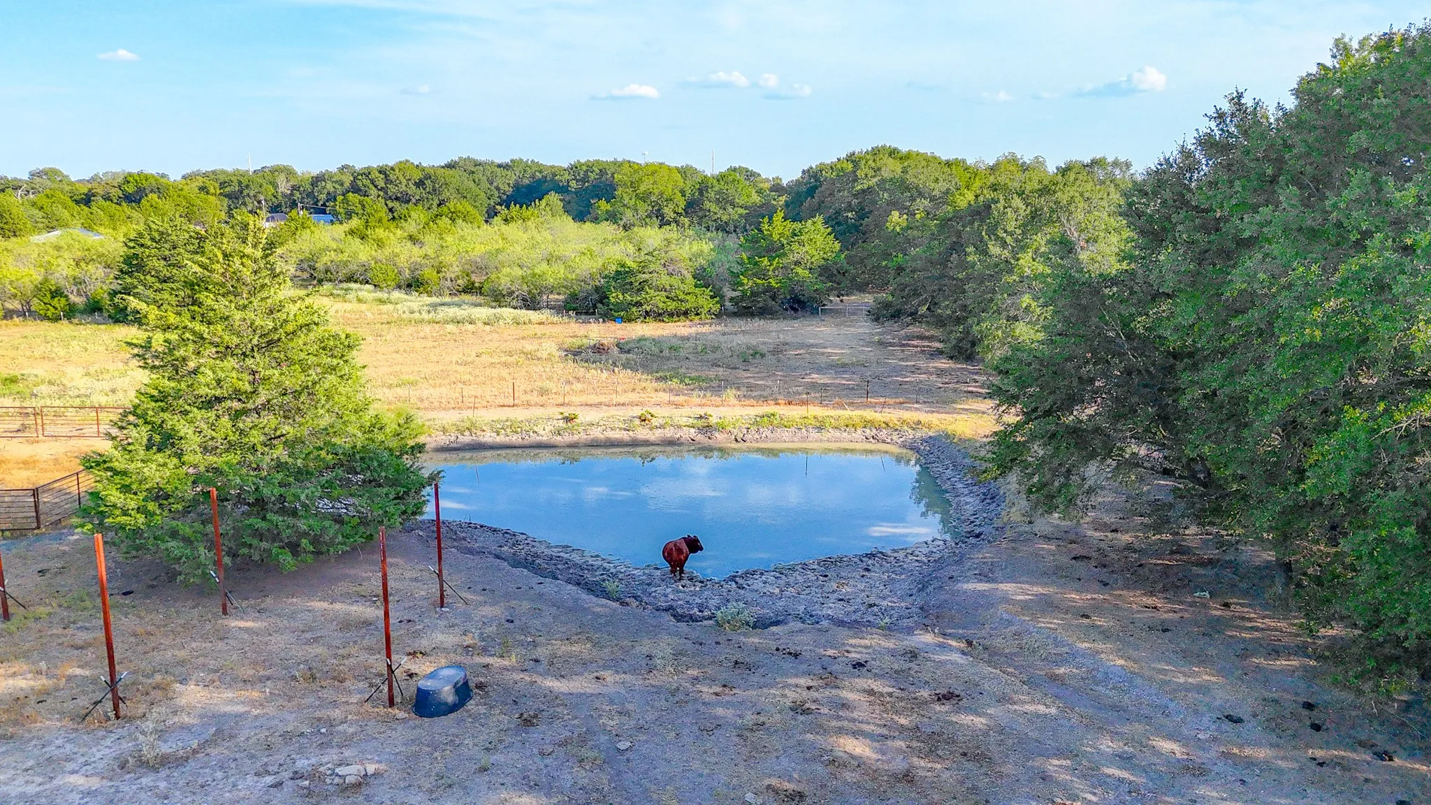 Unimproved Land For Sale in Navarro County , TBD County Road 2190, Kerens, Texas 75144, 0, 0, Garage spaces, 0 Sqft, built in 0, mls#21389650, Real Estate Agent in Kerens, Homes For Sale in Navarro county, Homes For Sale in Kerens, Realtor in Kerens Texas, Real Estate Brokerage Independent Realty Texas, Luminita Cordes Realtor
