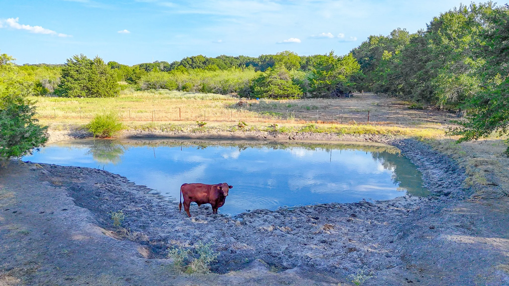 Unimproved Land For Sale in Navarro County , TBD County Road 2190, Kerens, Texas 75144, 0, 0, Garage spaces, 0 Sqft, built in 0, mls#21389650, Real Estate Agent in Kerens, Homes For Sale in Navarro county, Homes For Sale in Kerens, Realtor in Kerens Texas, Real Estate Brokerage Independent Realty Texas, Luminita Cordes Realtor