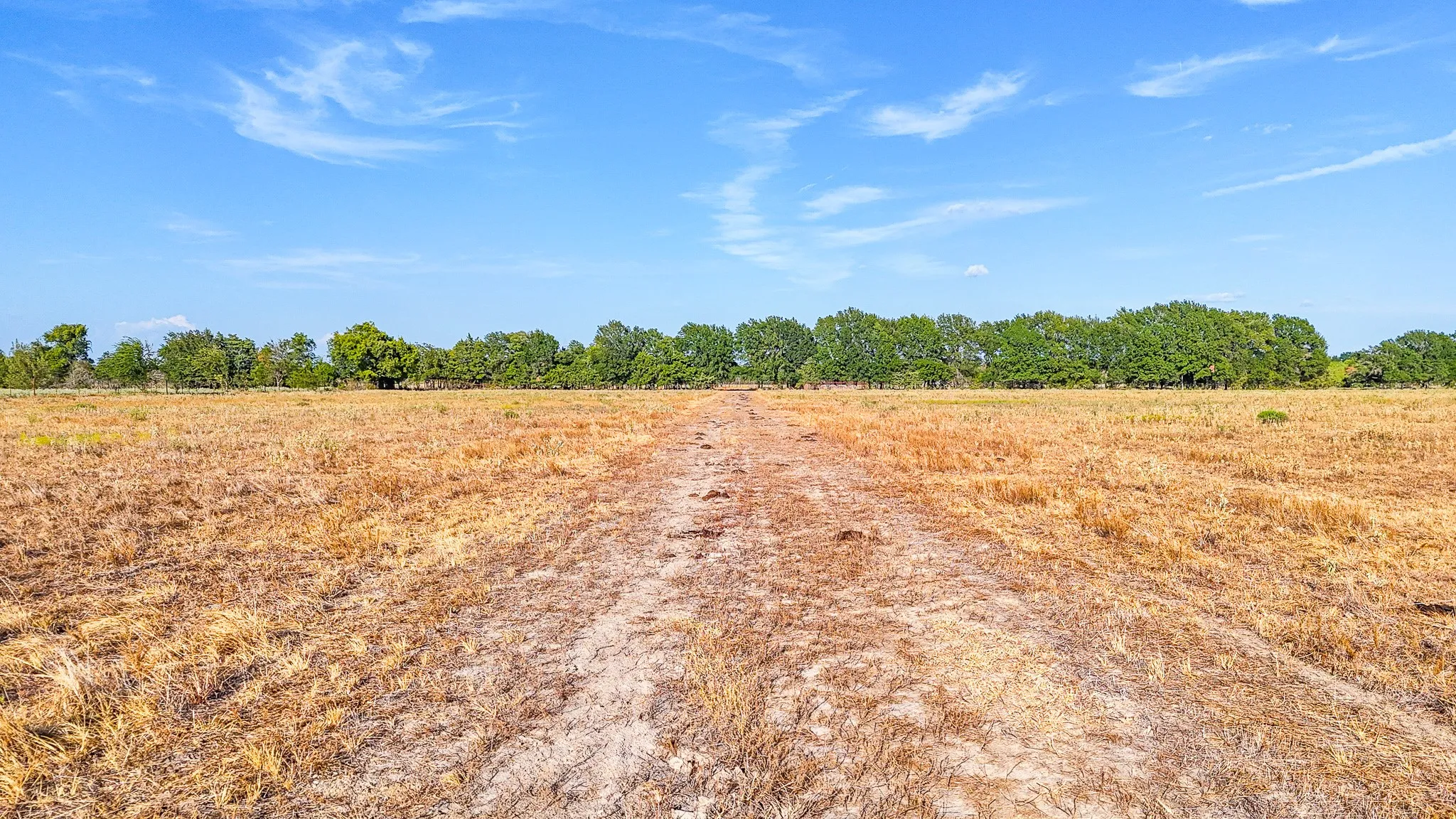 Unimproved Land For Sale in Navarro County , TBD County Road 2190, Kerens, Texas 75144, 0, 0, Garage spaces, 0 Sqft, built in 0, mls#21389650, Real Estate Agent in Kerens, Homes For Sale in Navarro county, Homes For Sale in Kerens, Realtor in Kerens Texas, Real Estate Brokerage Independent Realty Texas, Luminita Cordes Realtor