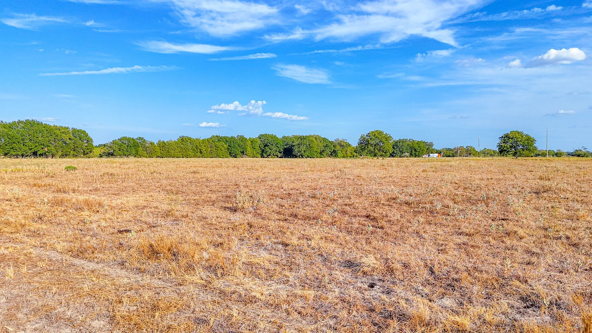 Unimproved Land For Sale in Navarro County , TBD County Road 2190, Kerens, Texas 75144, 0, 0, Garage spaces, 0 Sqft, built in 0, mls#21389650, Real Estate Agent in Kerens, Homes For Sale in Navarro county, Homes For Sale in Kerens, Realtor in Kerens Texas, Real Estate Brokerage Independent Realty Texas, Luminita Cordes Realtor