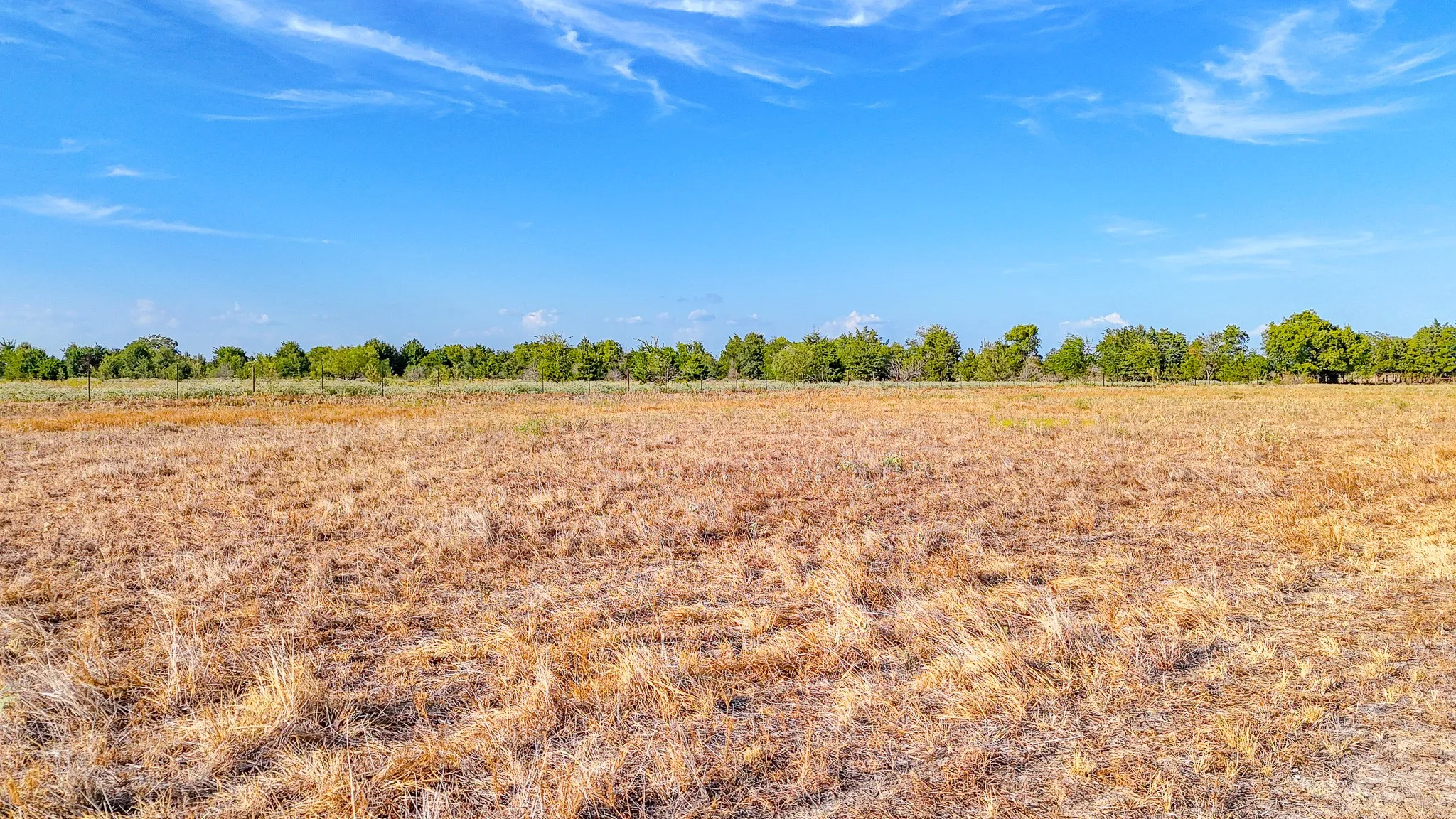 Unimproved Land For Sale in Navarro County , TBD County Road 2190, Kerens, Texas 75144, 0, 0, Garage spaces, 0 Sqft, built in 0, mls#21389650, Real Estate Agent in Kerens, Homes For Sale in Navarro county, Homes For Sale in Kerens, Realtor in Kerens Texas, Real Estate Brokerage Independent Realty Texas, Luminita Cordes Realtor