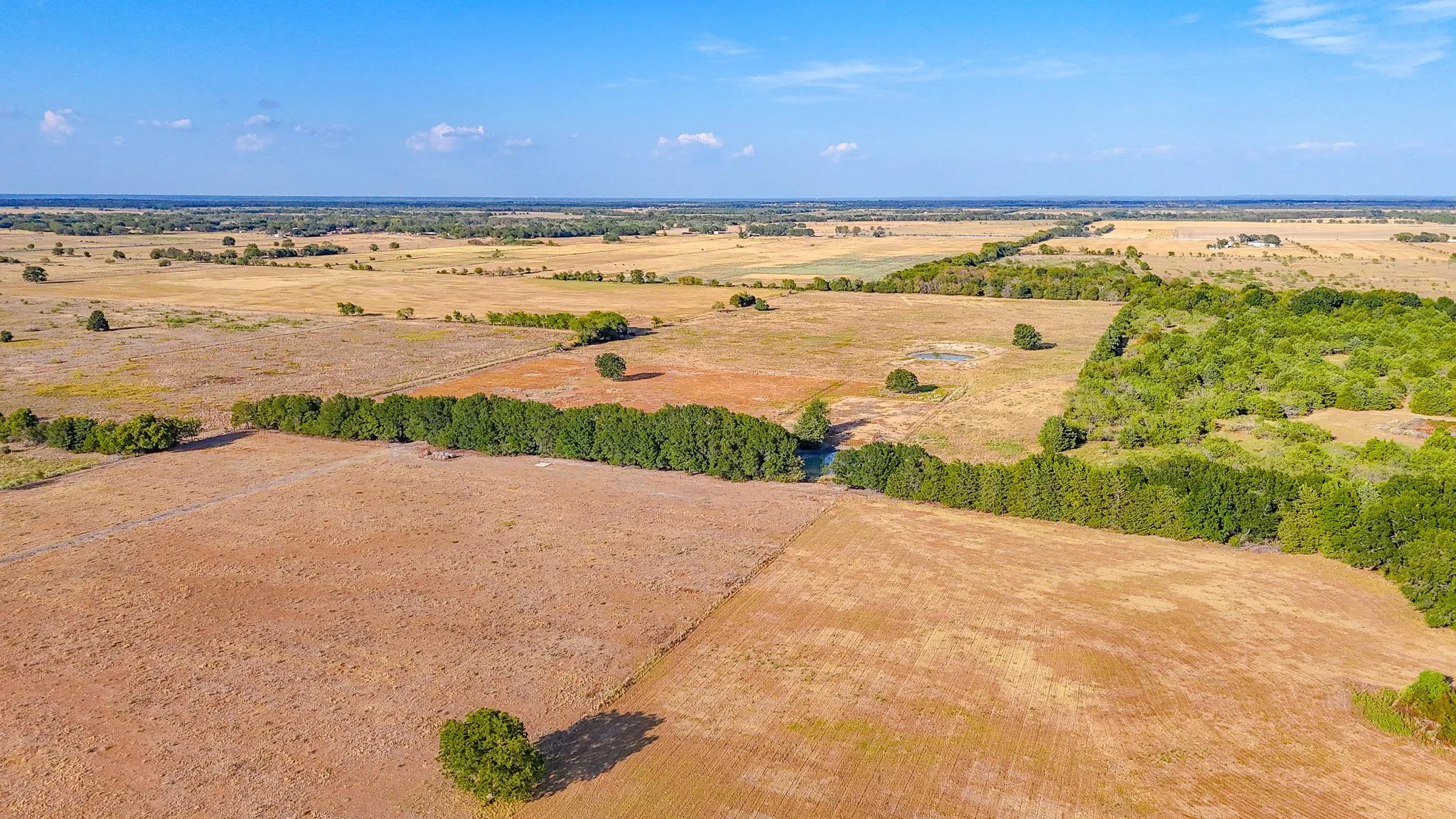 Unimproved Land For Sale in Navarro County , TBD County Road 2190, Kerens, Texas 75144, 0, 0, Garage spaces, 0 Sqft, built in 0, mls#21389650, Real Estate Agent in Kerens, Homes For Sale in Navarro county, Homes For Sale in Kerens, Realtor in Kerens Texas, Real Estate Brokerage Independent Realty Texas, Luminita Cordes Realtor
