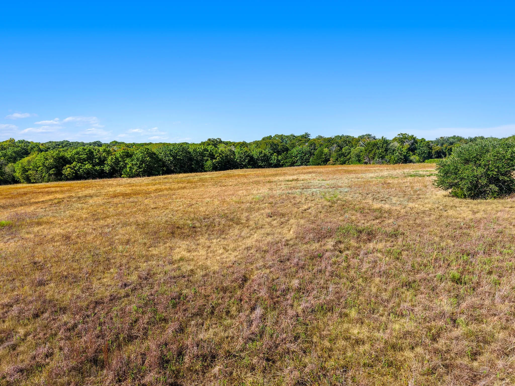 Unimproved Land For Sale in Mc Lennan County , 470 Oak Mott Road, Eddy, Texas 76524, 0, 0, Garage spaces, 0 Sqft, built in 0, mls#21391689, Real Estate Agent in Eddy, Homes For Sale in Mc Lennan county, Homes For Sale in Eddy, Realtor in Eddy Texas, Real Estate Brokerage Independent Realty Texas, Luminita Cordes Realtor