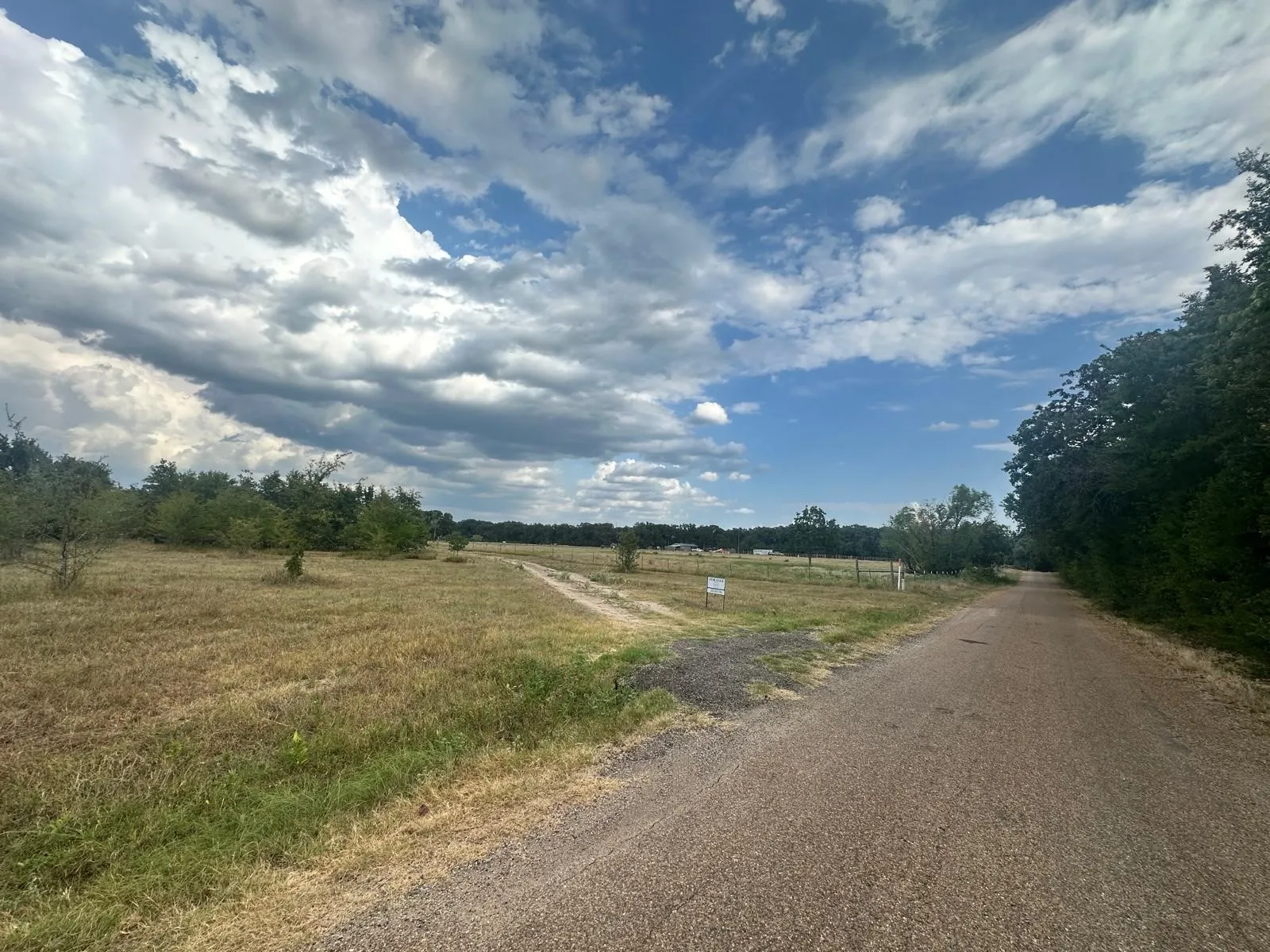Expansive open land featuring a gravel road, natural vegetation, and mature trees
