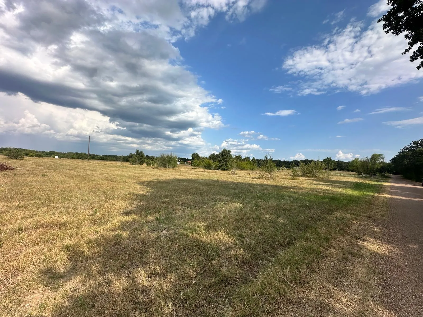 Expansive open land with natural ground cover, bordered by a gravel road