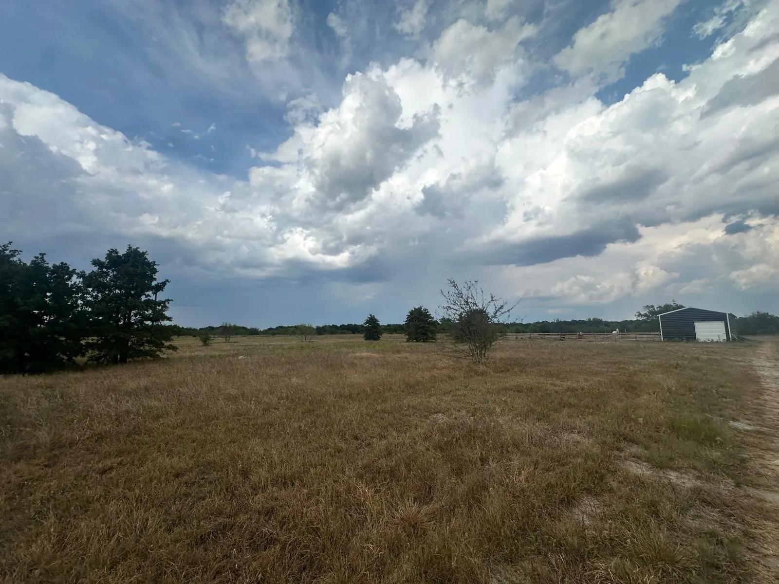 Expansive open field with scattered trees and a metal outbuilding featuring a roll-up door
