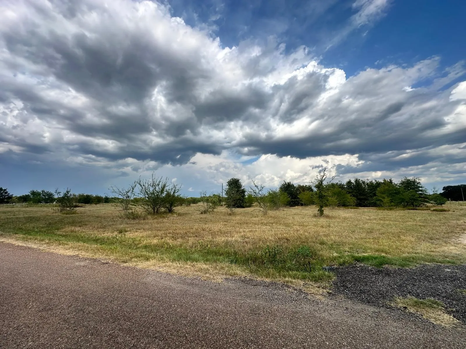 Expansive land parcel with natural vegetation and mature trees, featuring a paved road frontage
